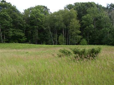 Sugar Grove Road Ludington, MI 49431 - Photo 1 of 2 Primary Photo
