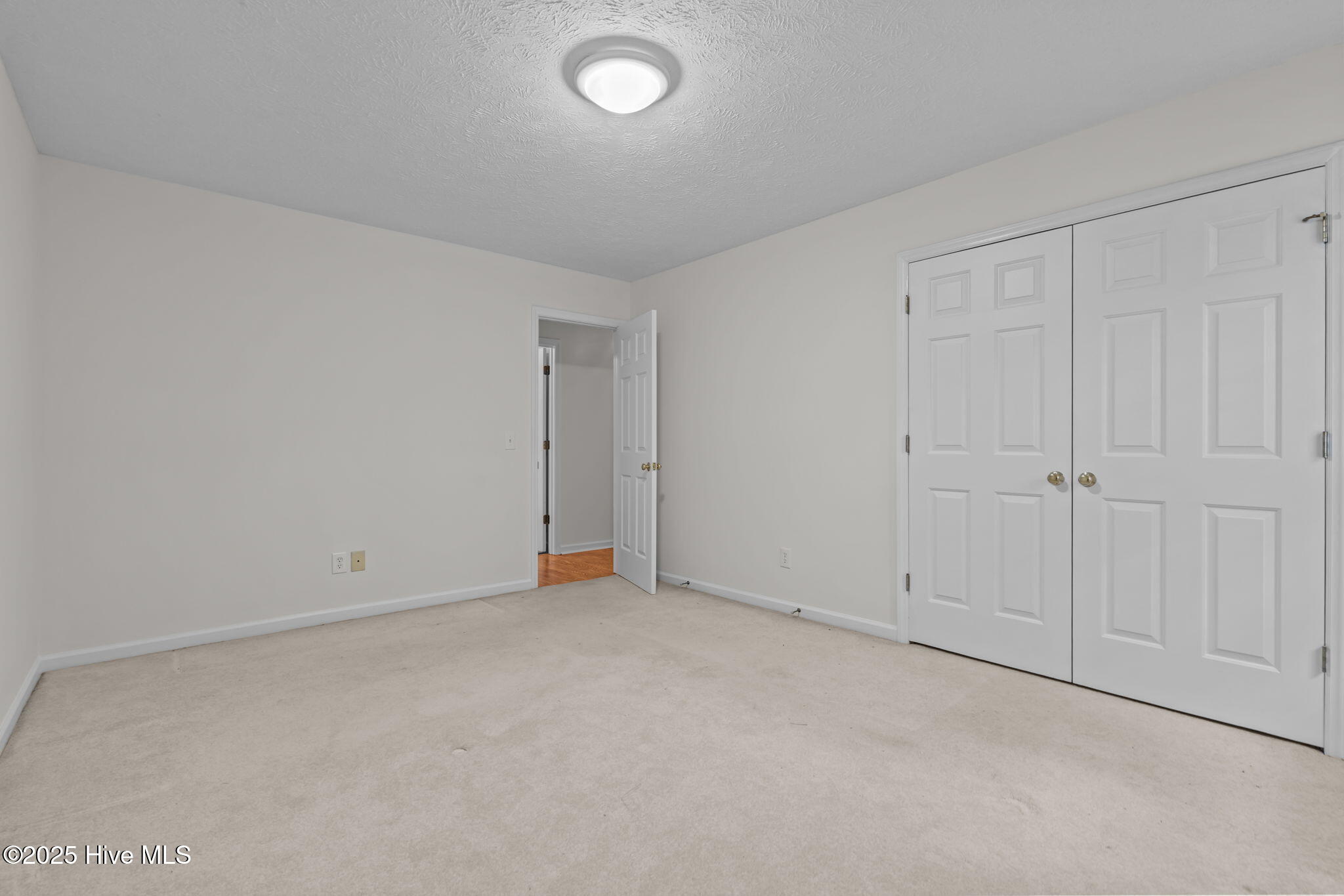 126 Shenandoah Road West End, NC 27376 - Photo 42 of 60 32-web-or-mls-DSC08163