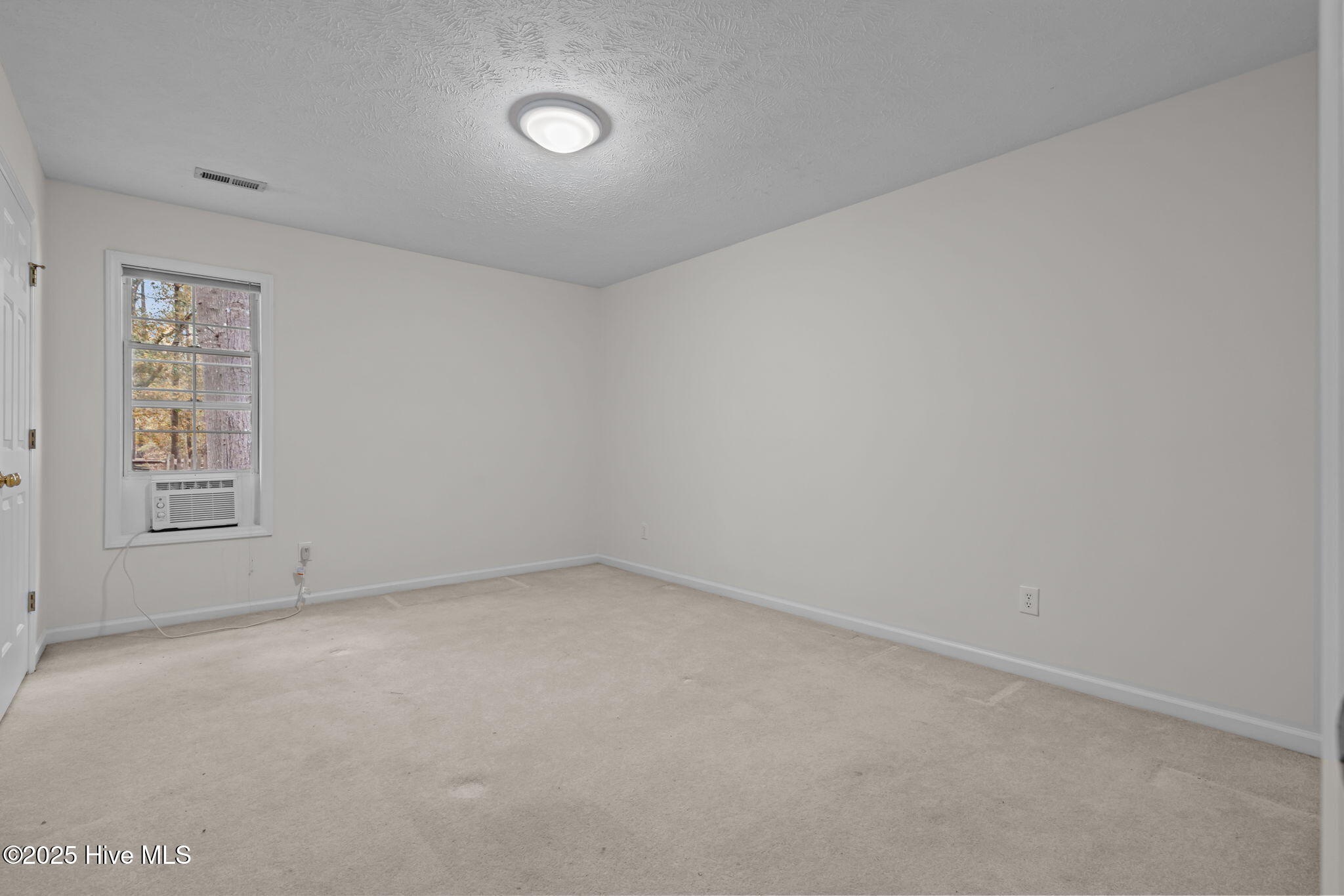 126 Shenandoah Road West End, NC 27376 - Photo 43 of 60 31-web-or-mls-DSC08160