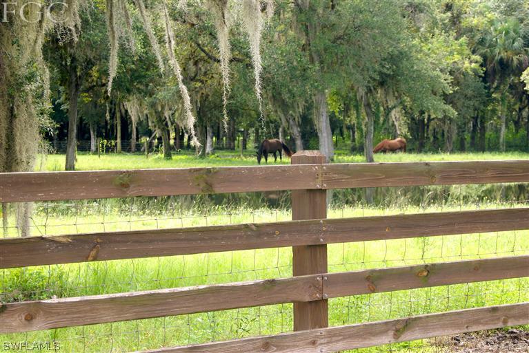 17180 Frank Road Alva, FL 33920 - Photo 23 of 23 a view of a yard with a house