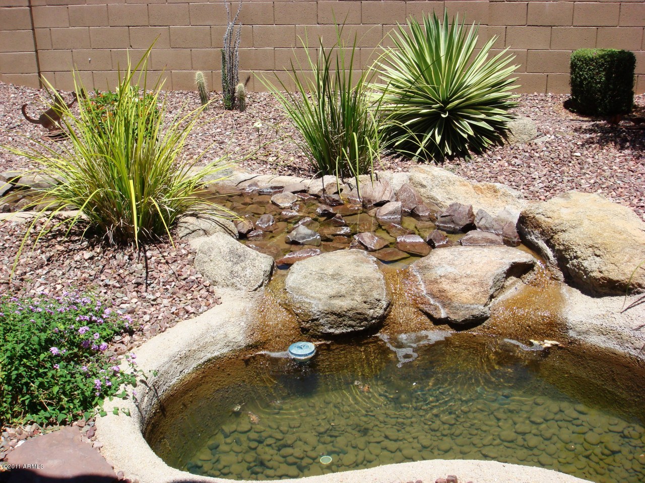 4724 West Maldonado Road Laveen, AZ 85339 - Photo 29 of 38 Back yard 3