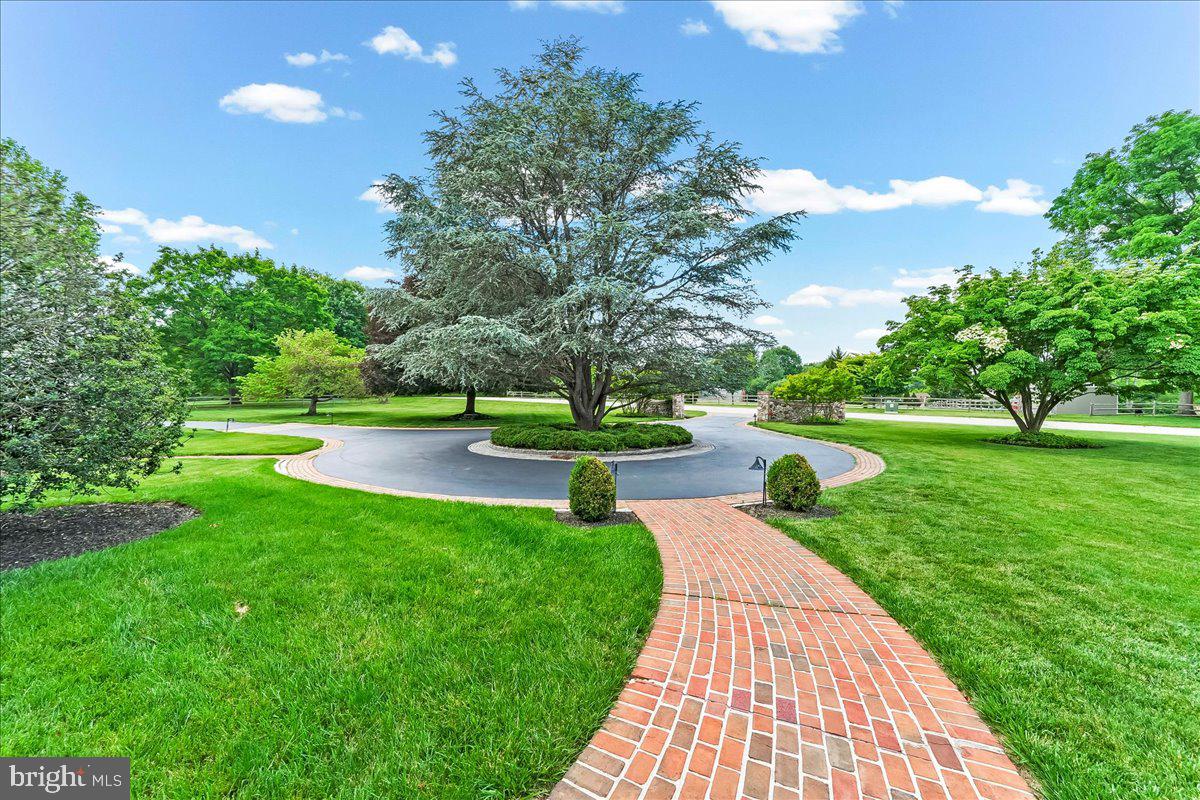 7 Bolingbroke Road West Chester, PA 19382 - Photo 79 of 86 Serene pathway through lush greenery.