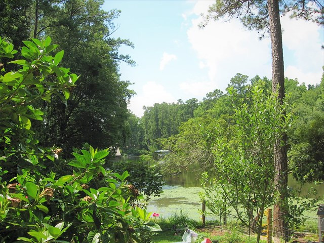 381 Woldus Road North Augusta, SC 29841 - Photo 1 of 6 Main View
