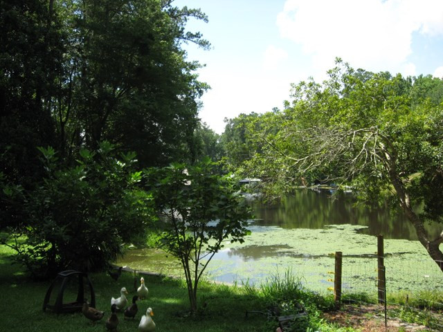381 Woldus Road North Augusta, SC 29841 - Photo 5 of 6 Gallery Image 5