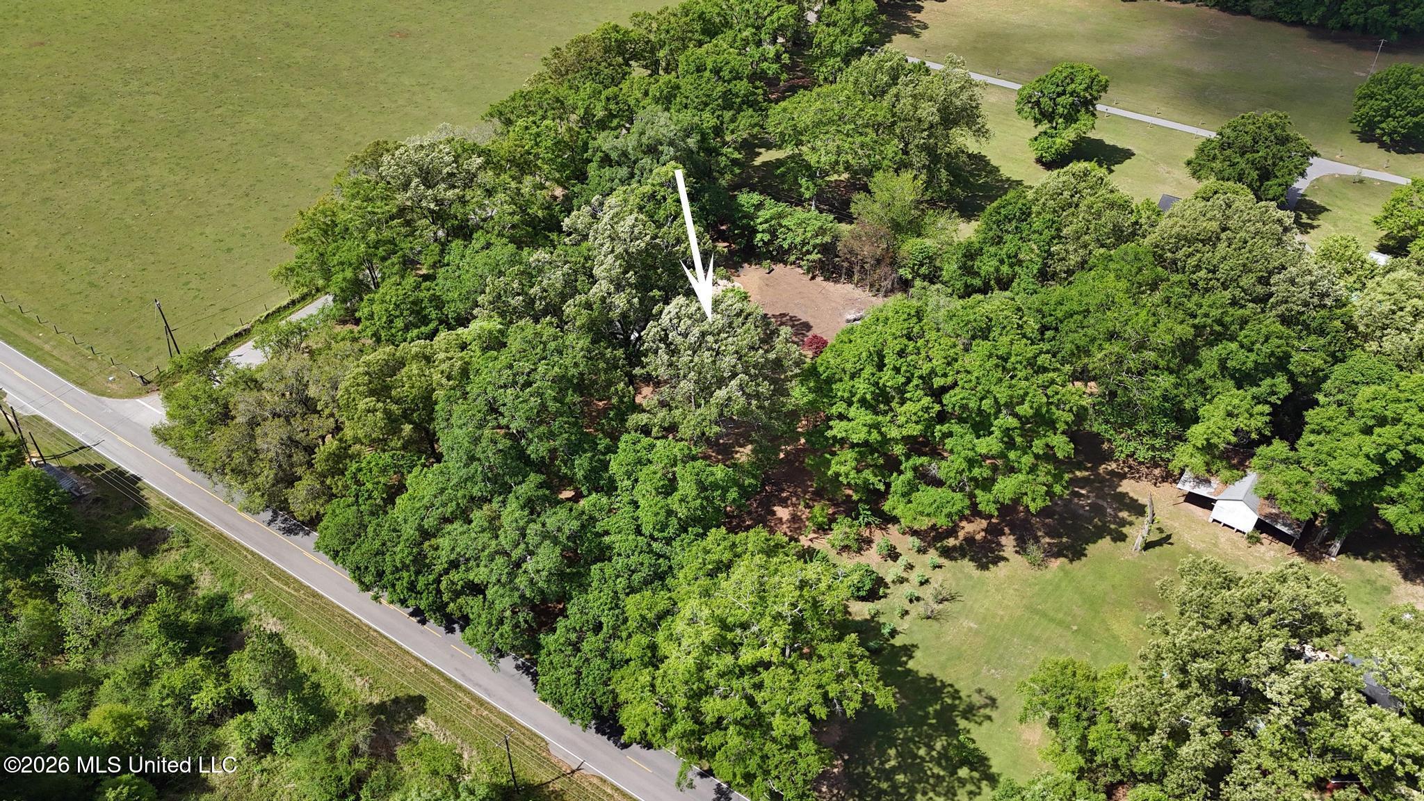 103 Gristmill Road Lucedale, MS 39452 - Photo 41 of 49 041