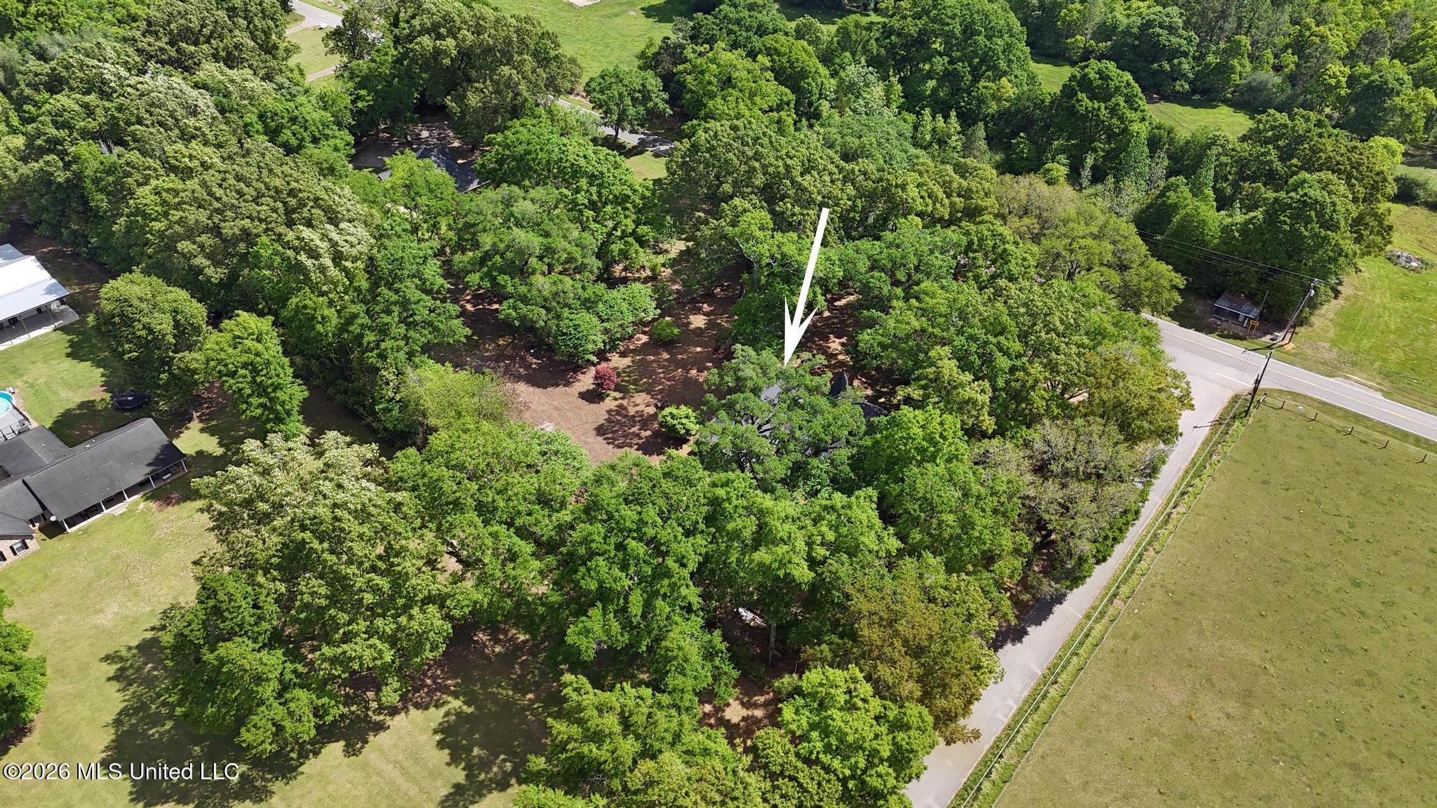 103 Gristmill Road Lucedale, MS 39452 - Photo 45 of 49 045