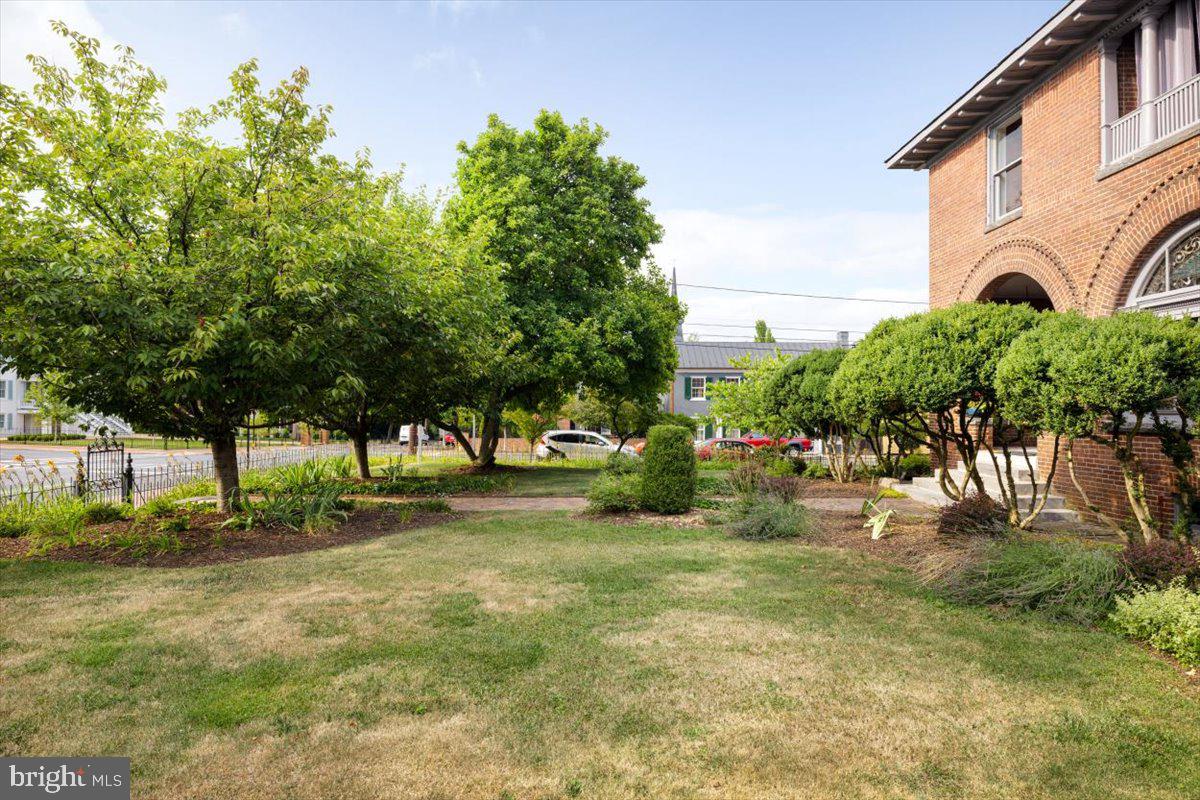 202 South Washington Street Winchester, VA 22601 - Photo 14 of 71 a view of a yard with plants and trees
