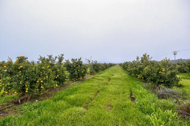 $1,166,425 | 0 Rd 224 & 182 Porterville Ca, Strathmore, CA 93267