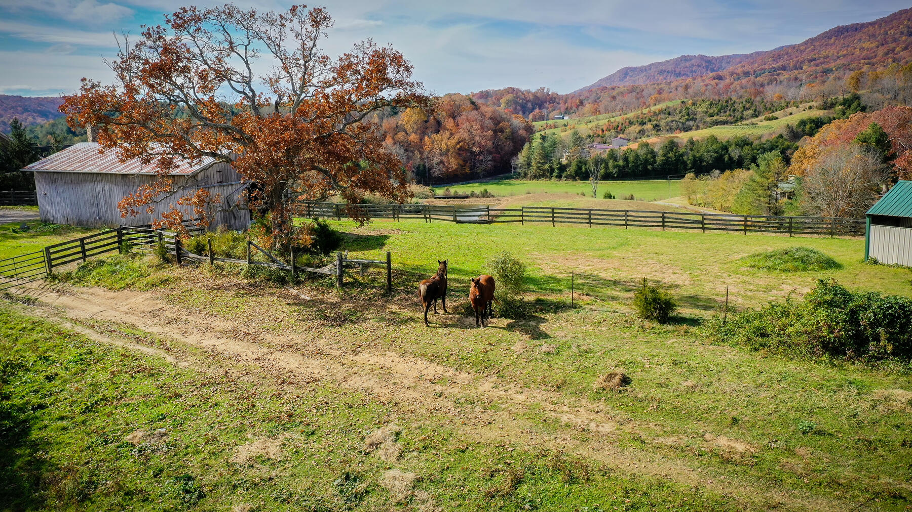 18325 Horton Highway Fall Branch, TN 37656 - Photo 52 of 64 050HortonHwy_18325