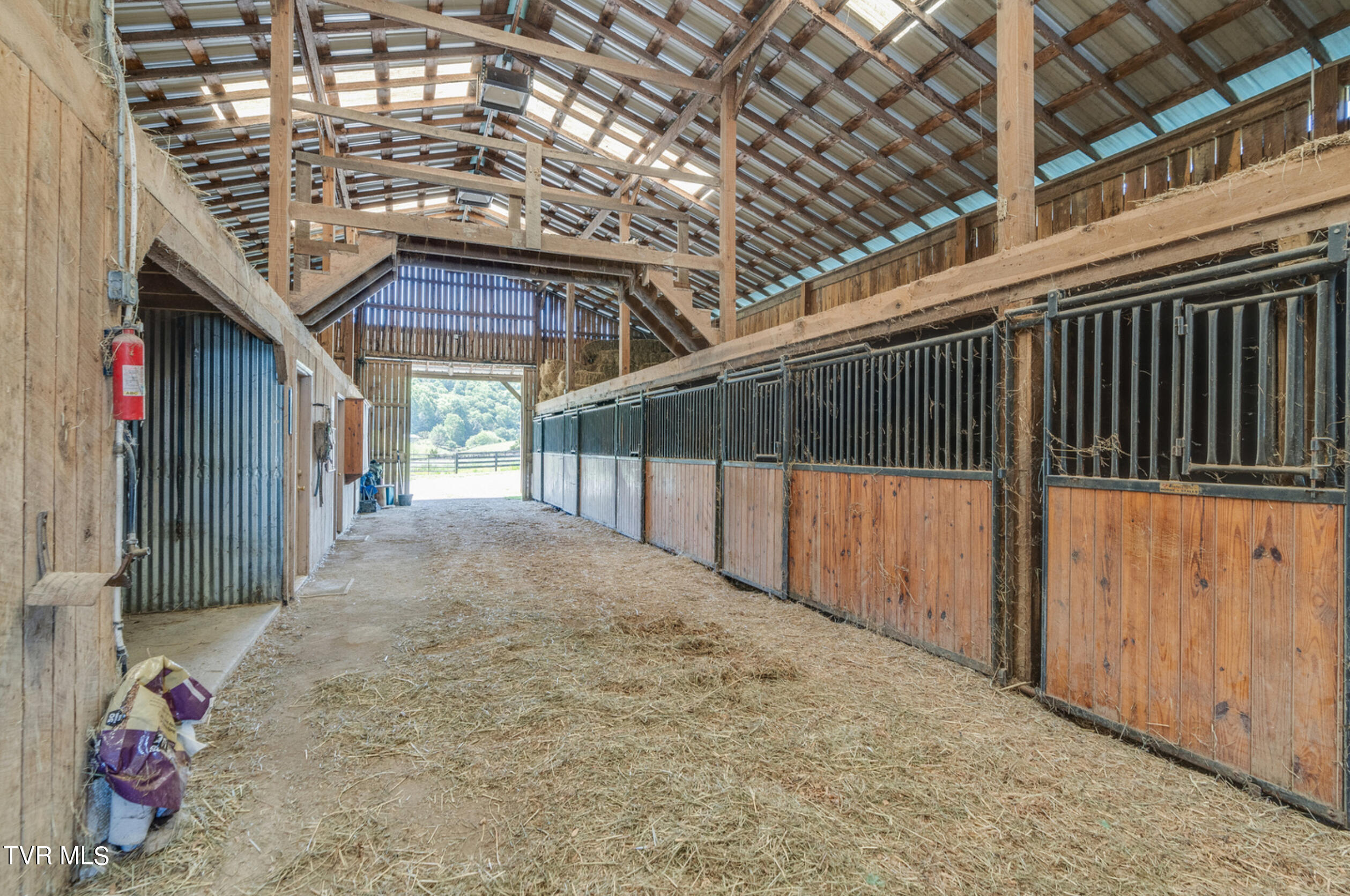 18325 Horton Highway Fall Branch, TN 37656 - Photo 53 of 64 IMG_3430