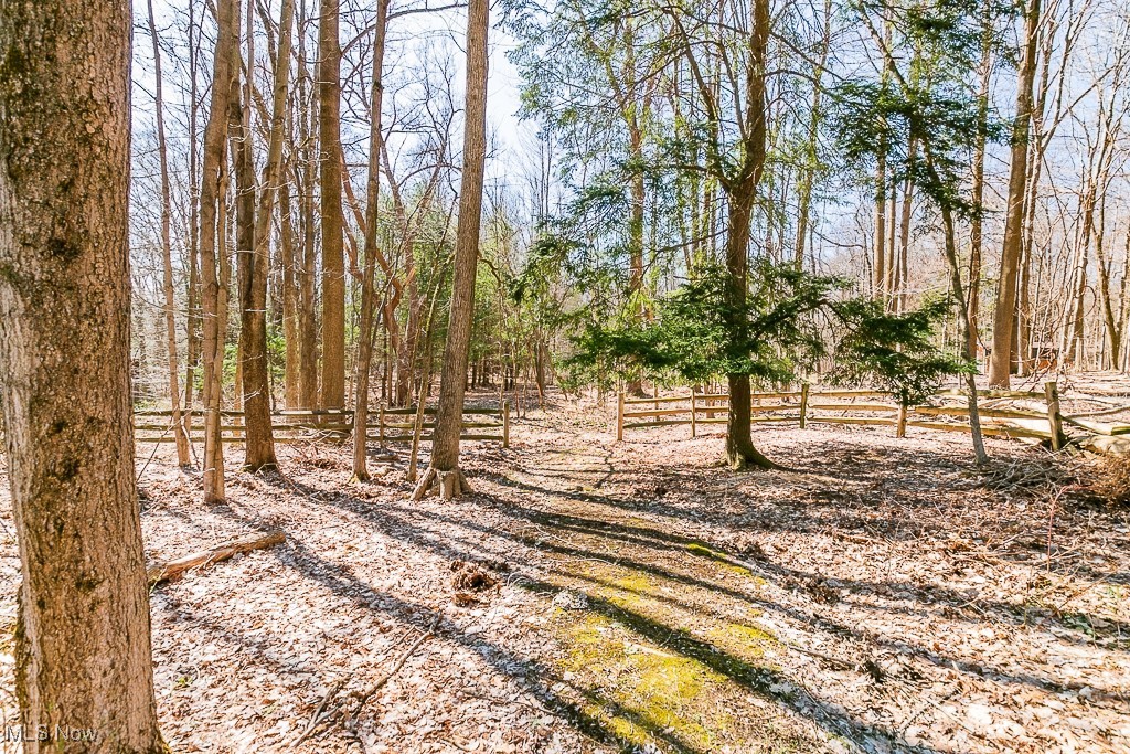 10495 Mulberry Road Chardon, OH 44024 - Photo 27 of 48 View of nature with over 4.5 acres