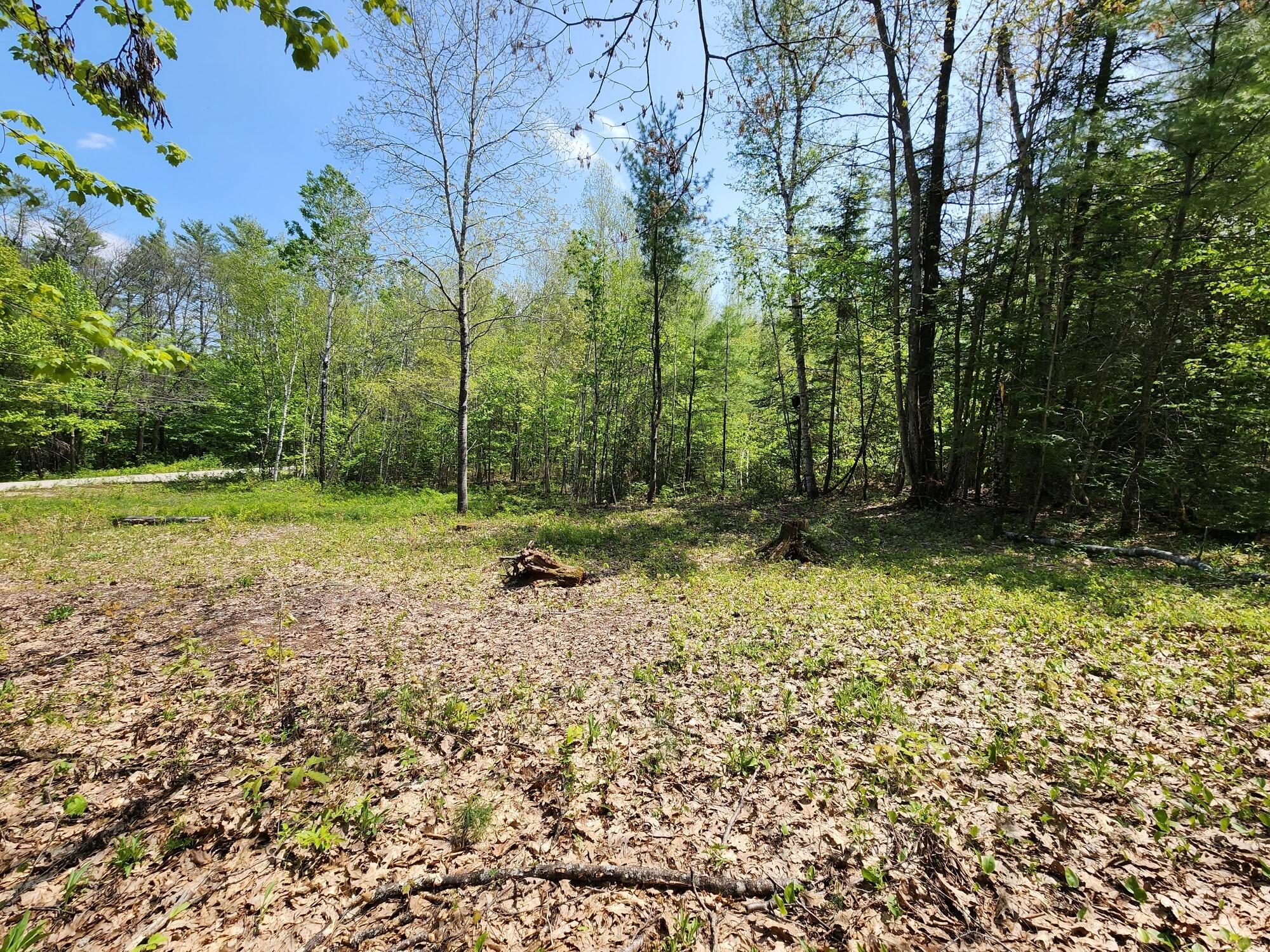 Lot 3-1 Holman Road Rumford, ME 04276 - Photo 4 of 12 D