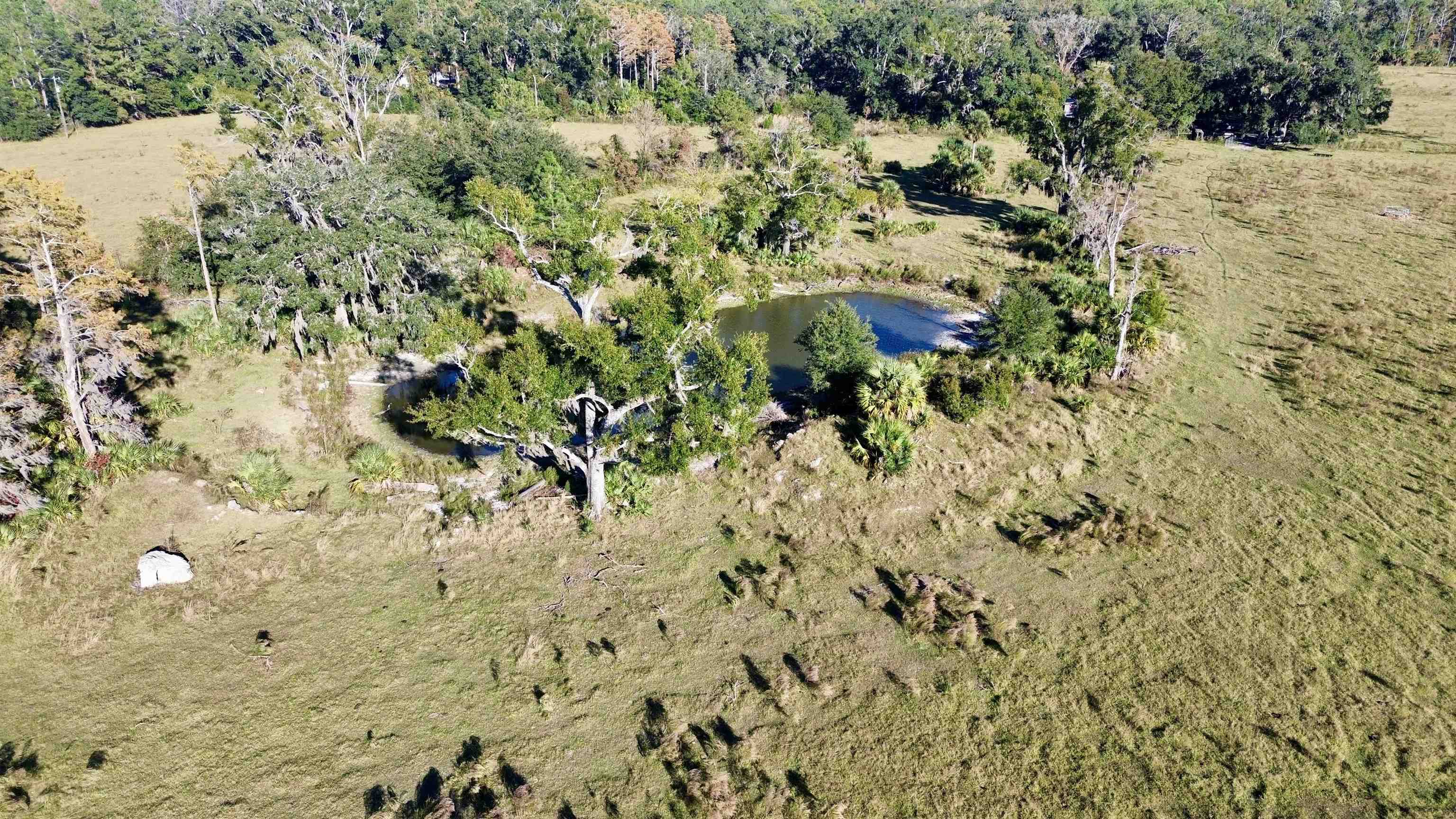 0 Woods Creek Road Perry, FL 32347 - Photo 1 of 36
