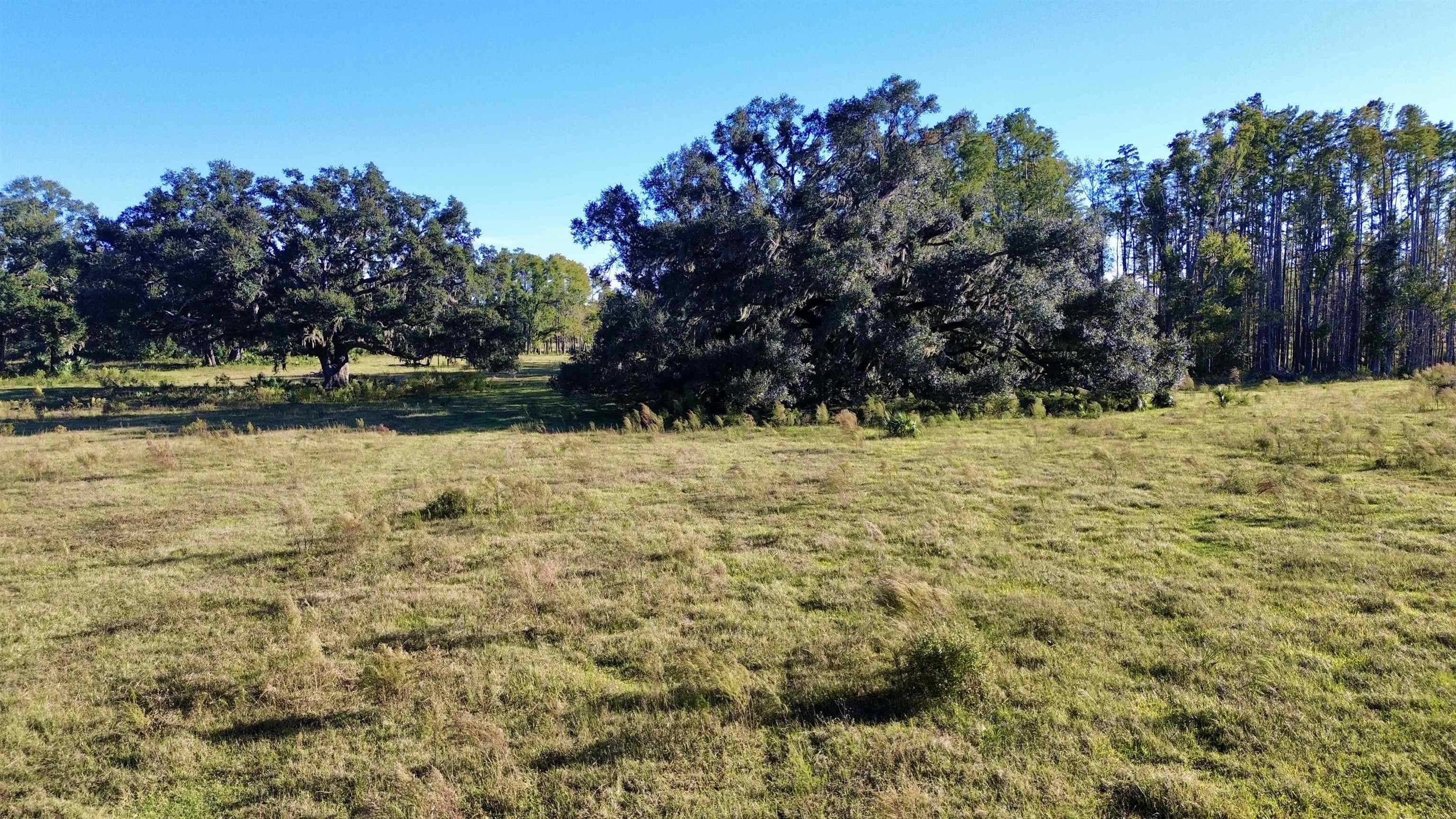 0 Woods Creek Road Perry, FL 32347 - Photo 11 of 36