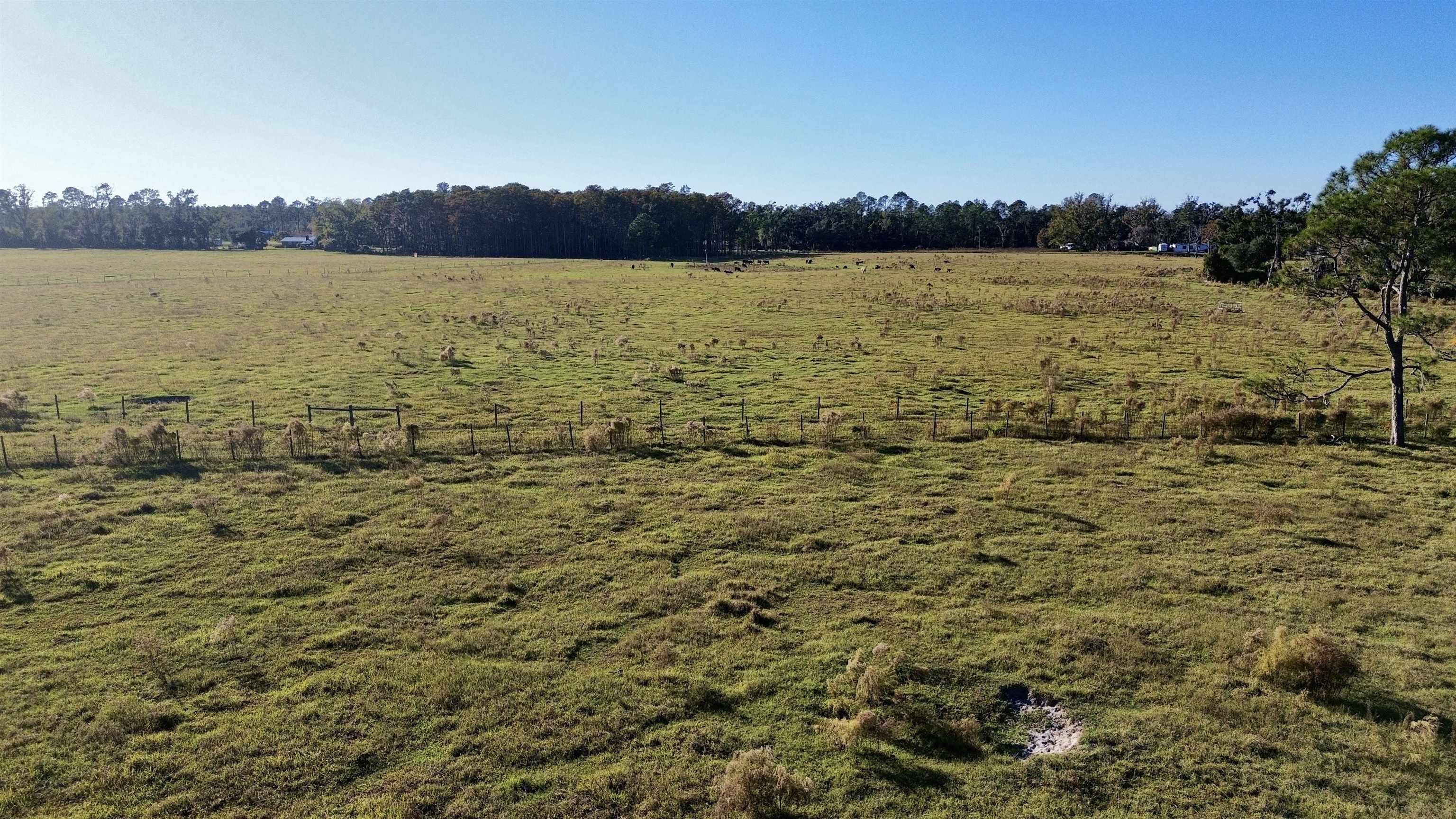 0 Woods Creek Road Perry, FL 32347 - Photo 12 of 36