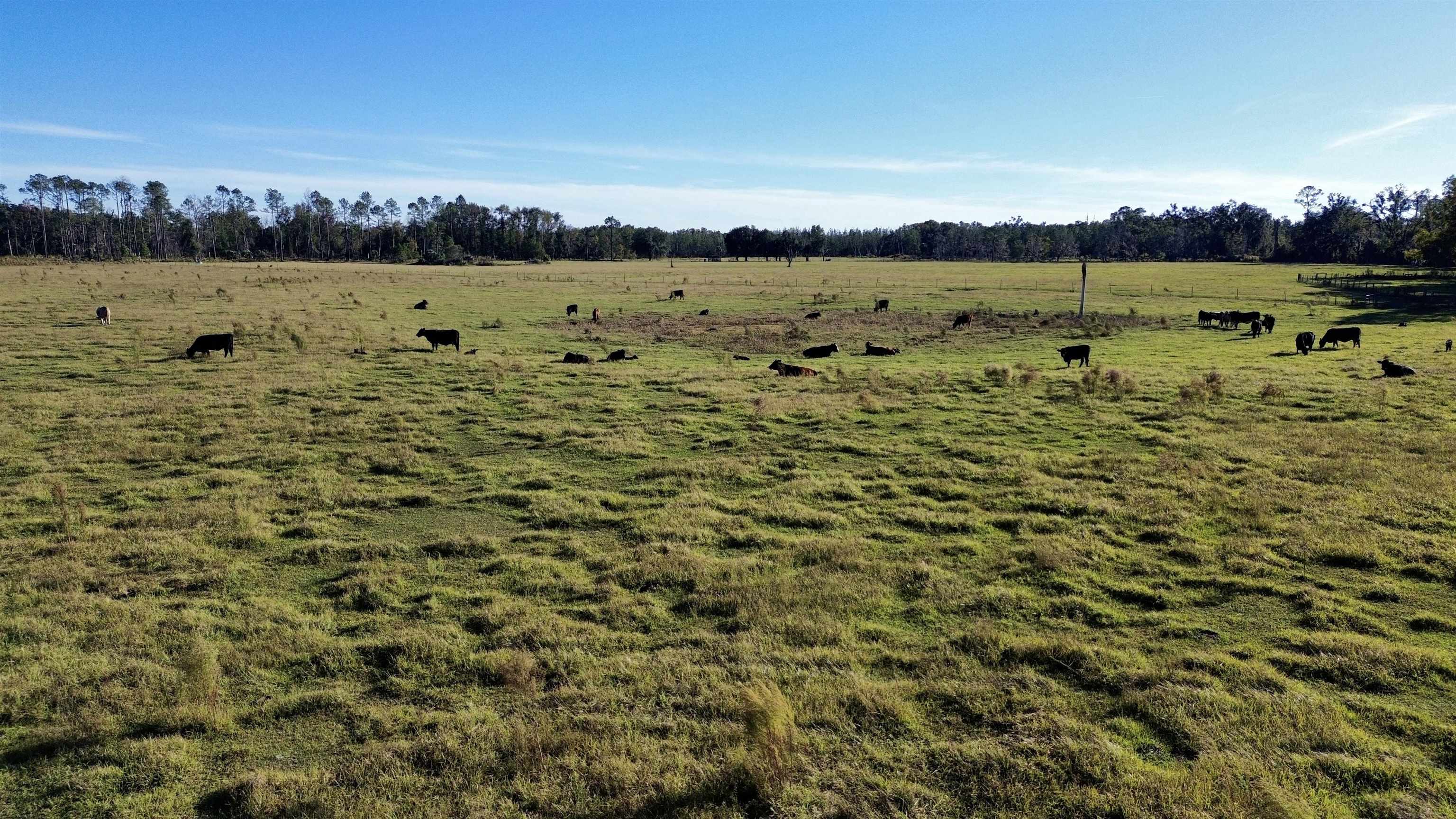 0 Woods Creek Road Perry, FL 32347 - Photo 18 of 36