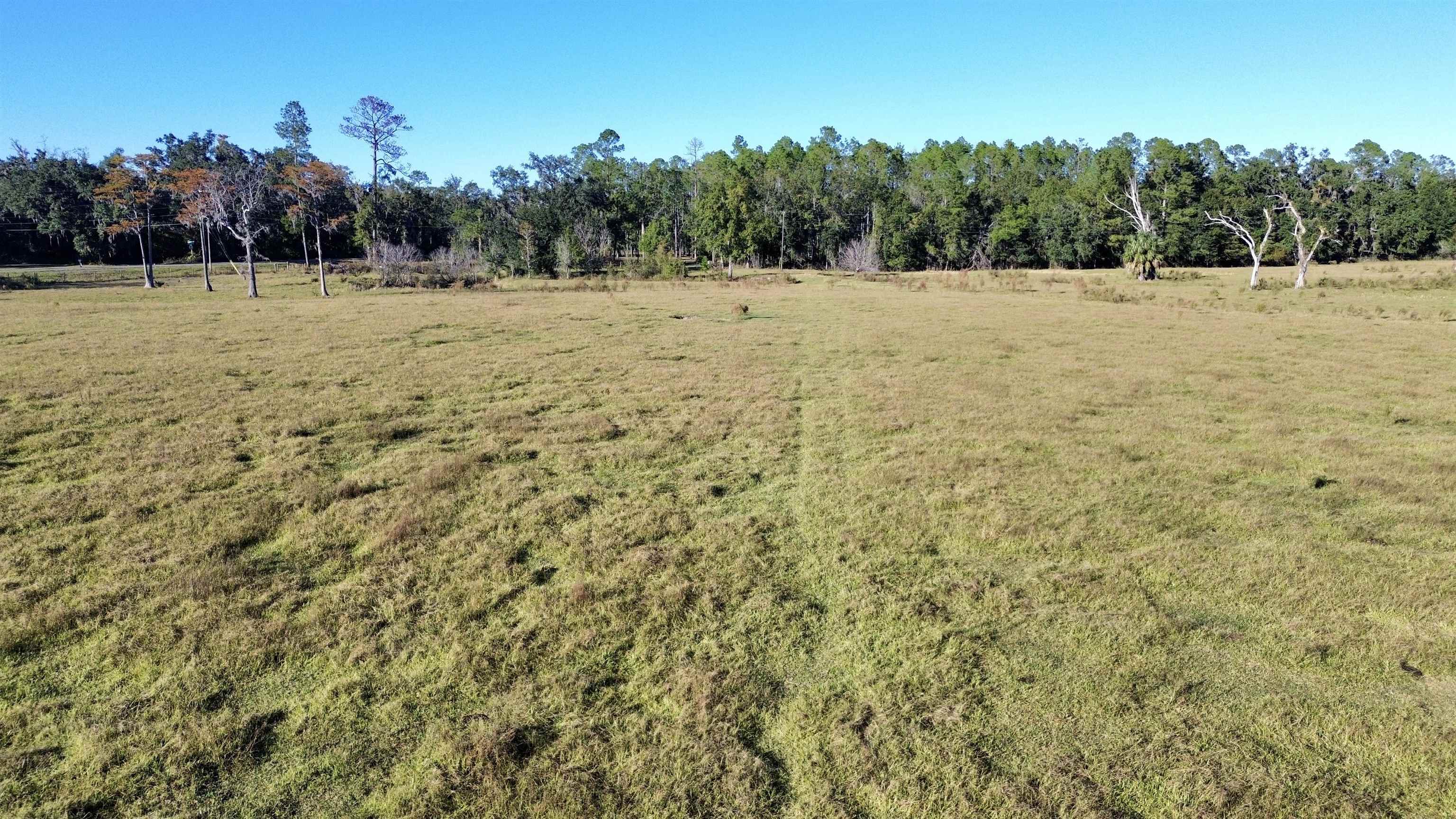 0 Woods Creek Road Perry, FL 32347 - Photo 20 of 36