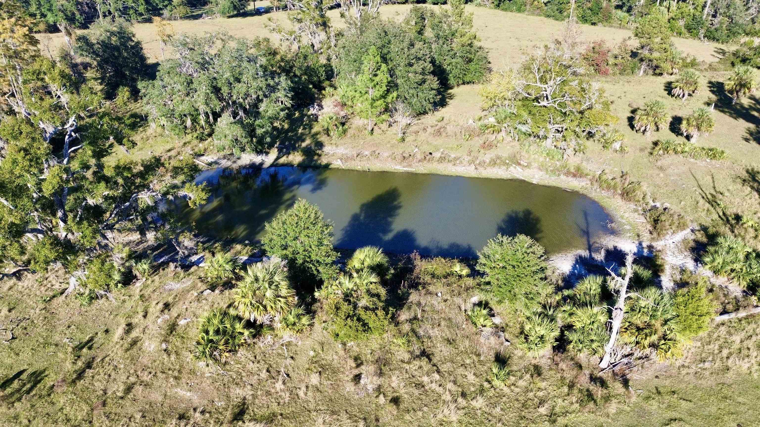 0 Woods Creek Road Perry, FL 32347 - Photo 2 of 36