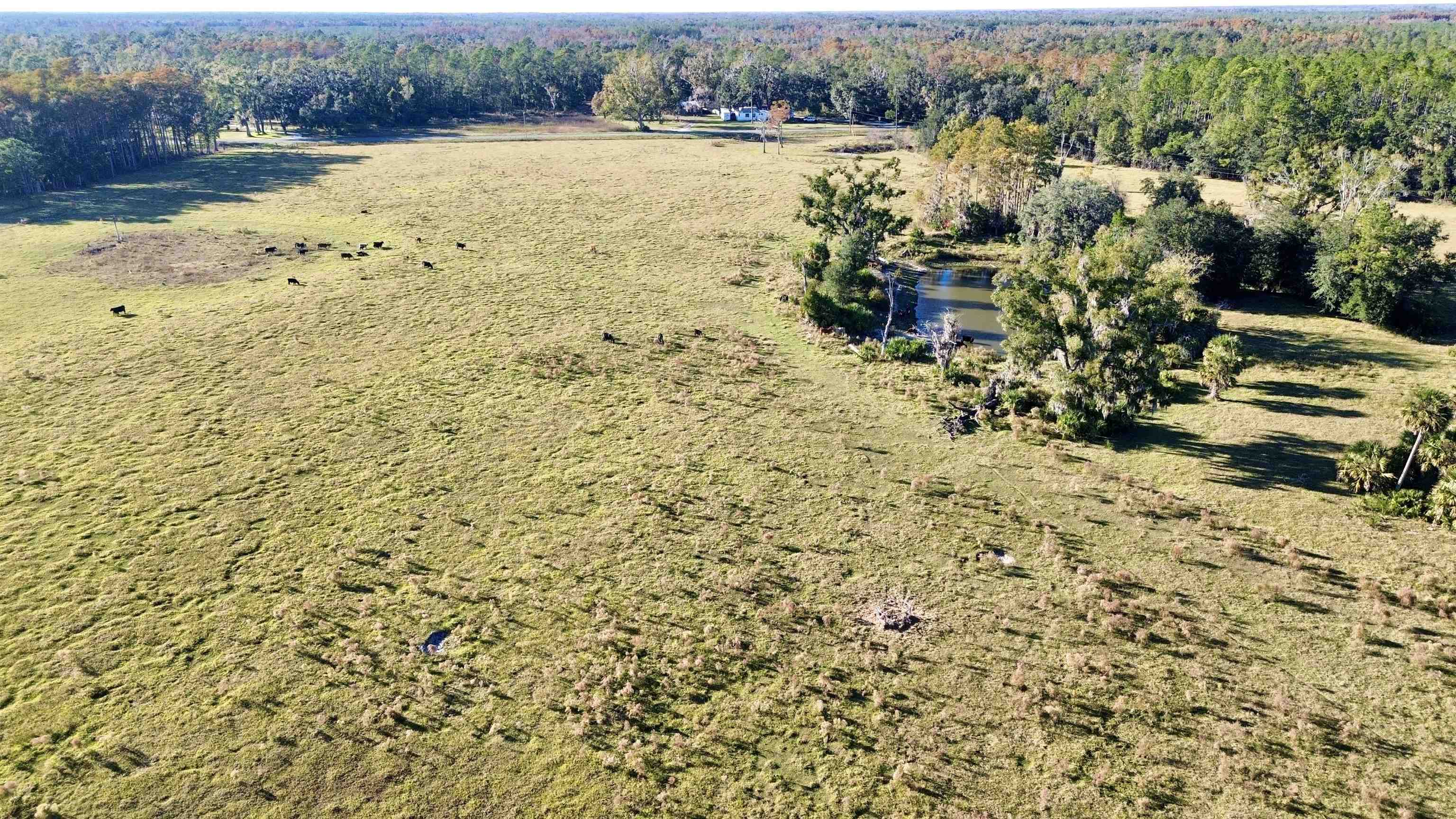 0 Woods Creek Road Perry, FL 32347 - Photo 21 of 36