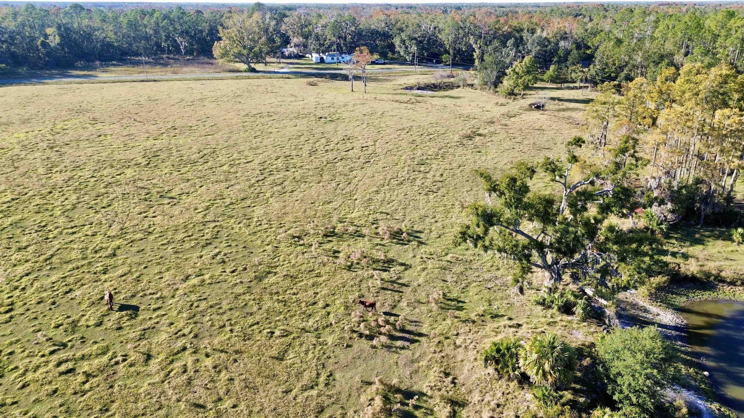 0 Woods Creek Road Perry, FL 32347 - Photo 22 of 36