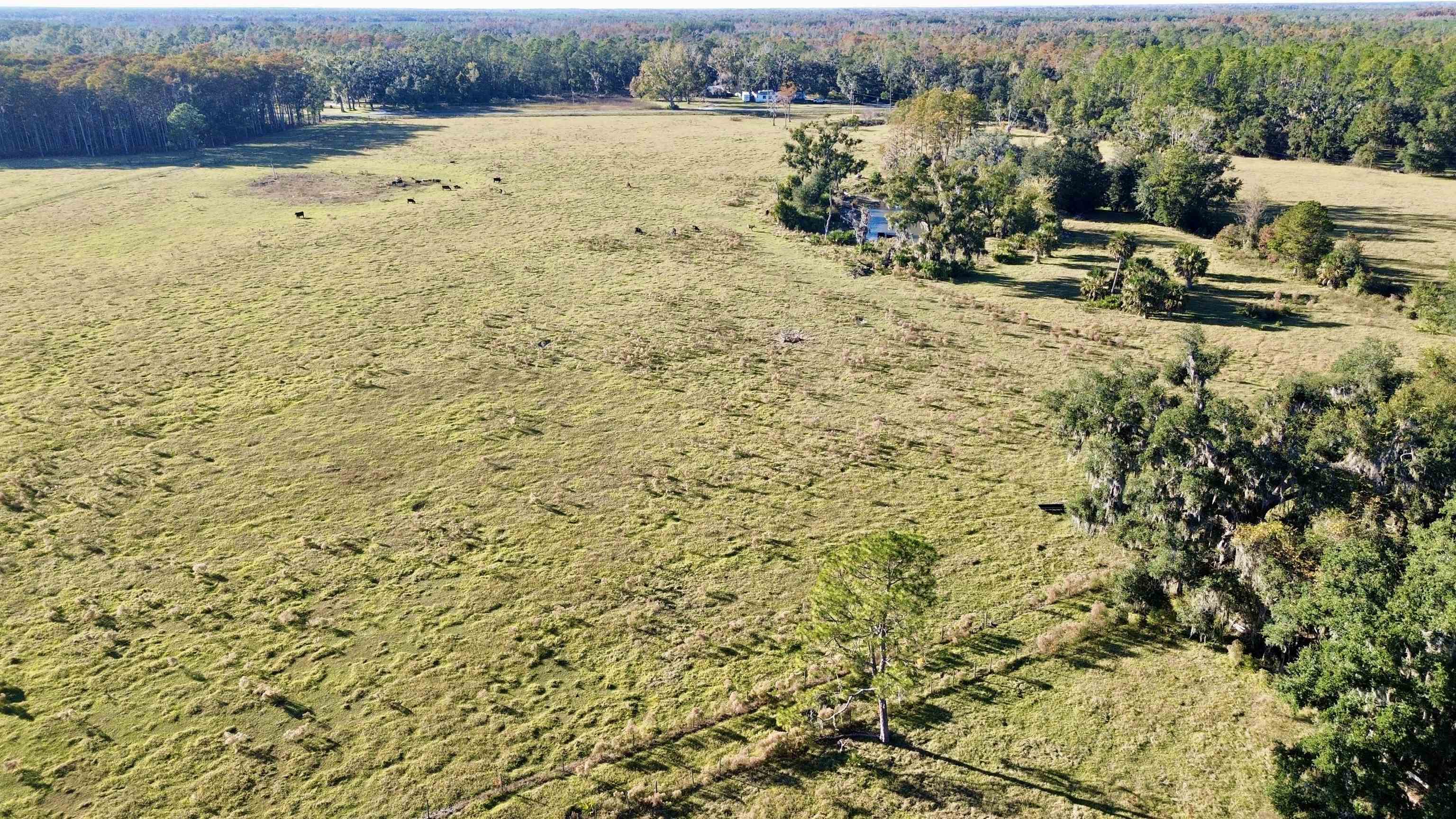 0 Woods Creek Road Perry, FL 32347 - Photo 24 of 36