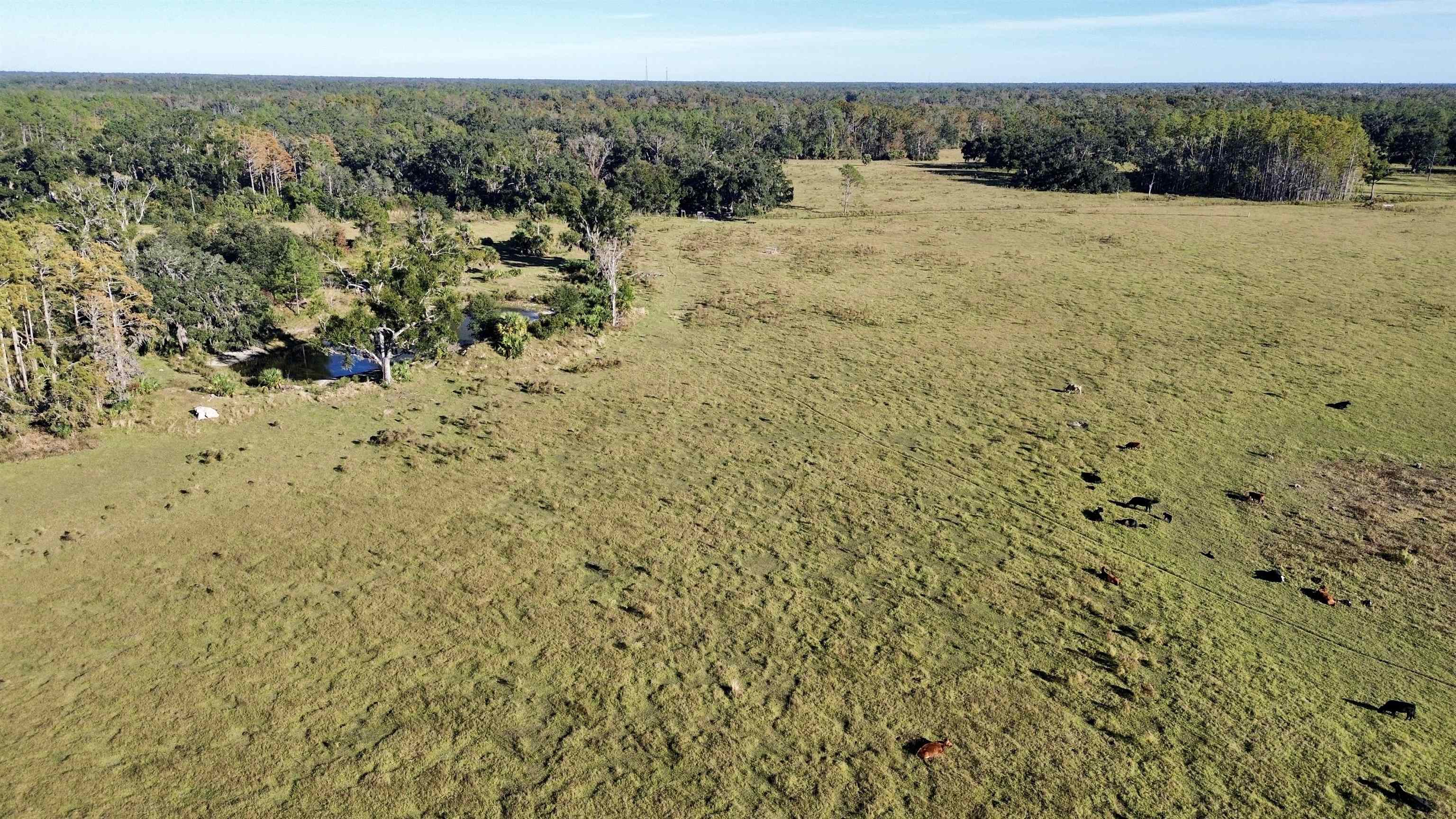 0 Woods Creek Road Perry, FL 32347 - Photo 25 of 36