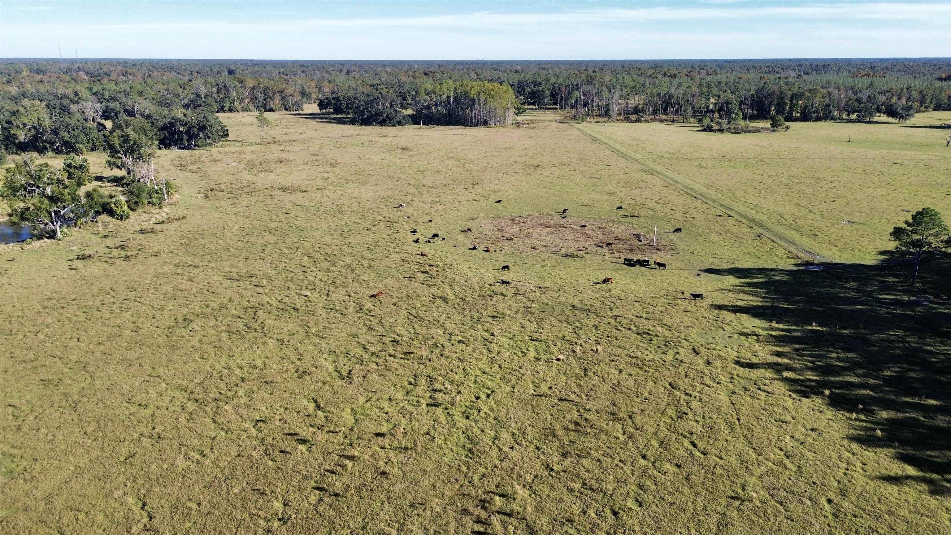 0 Woods Creek Road Perry, FL 32347 - Photo 26 of 36