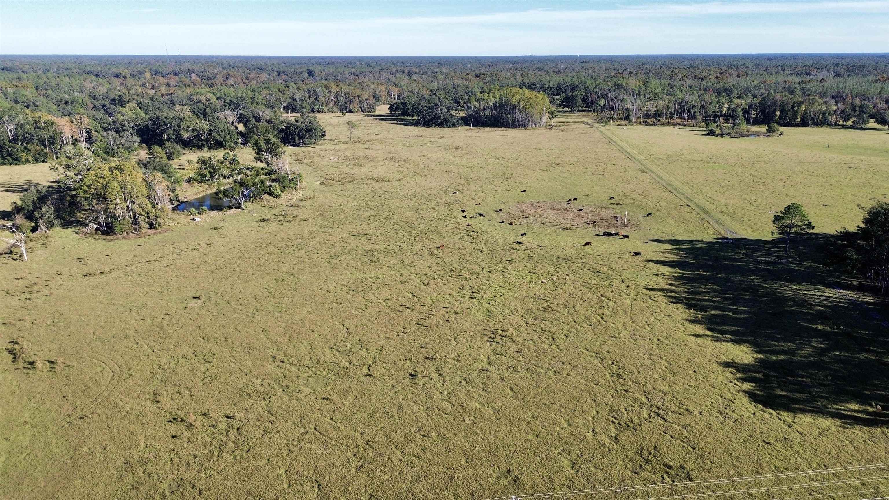 0 Woods Creek Road Perry, FL 32347 - Photo 27 of 36