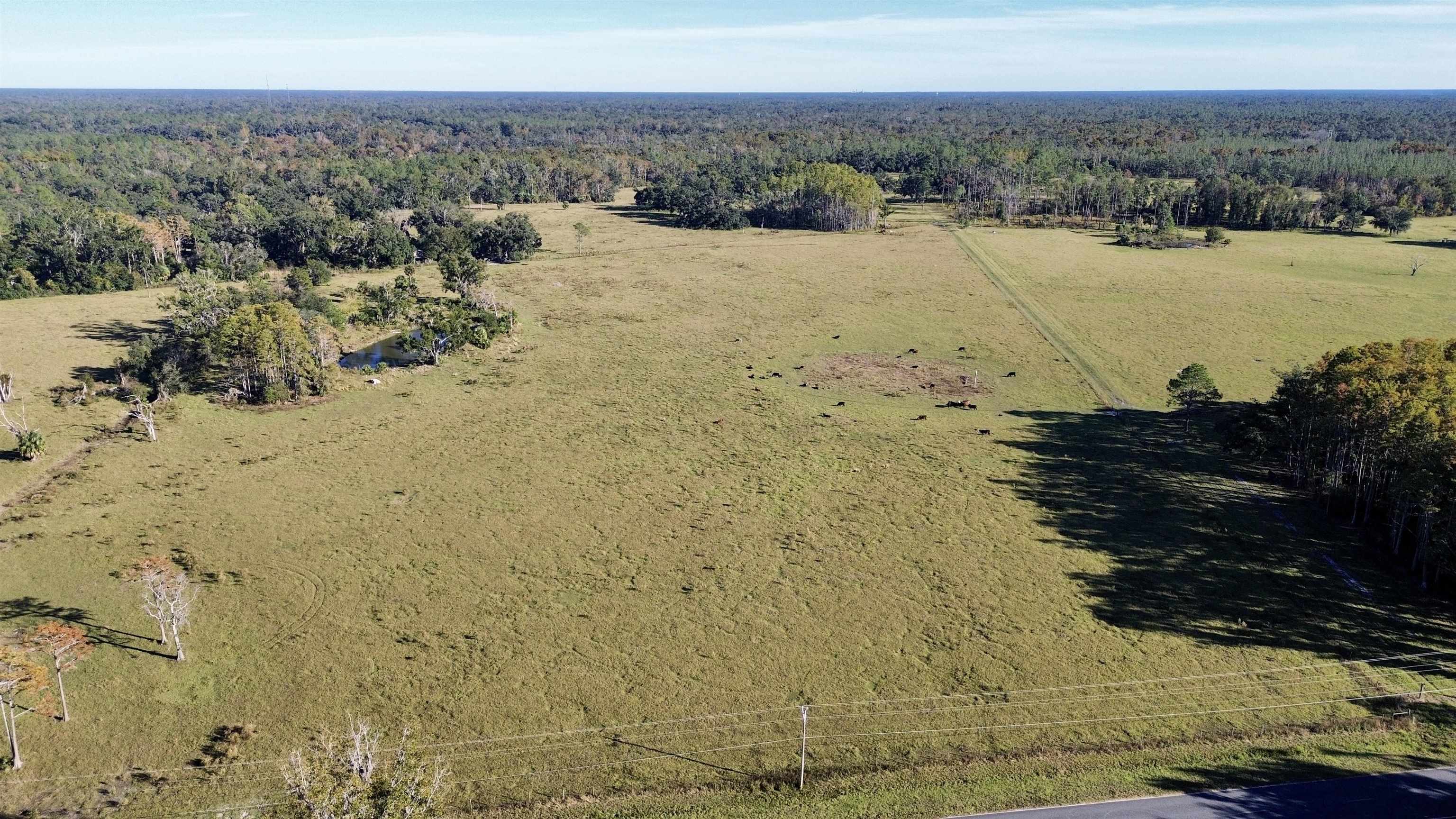 0 Woods Creek Road Perry, FL 32347 - Photo 28 of 36