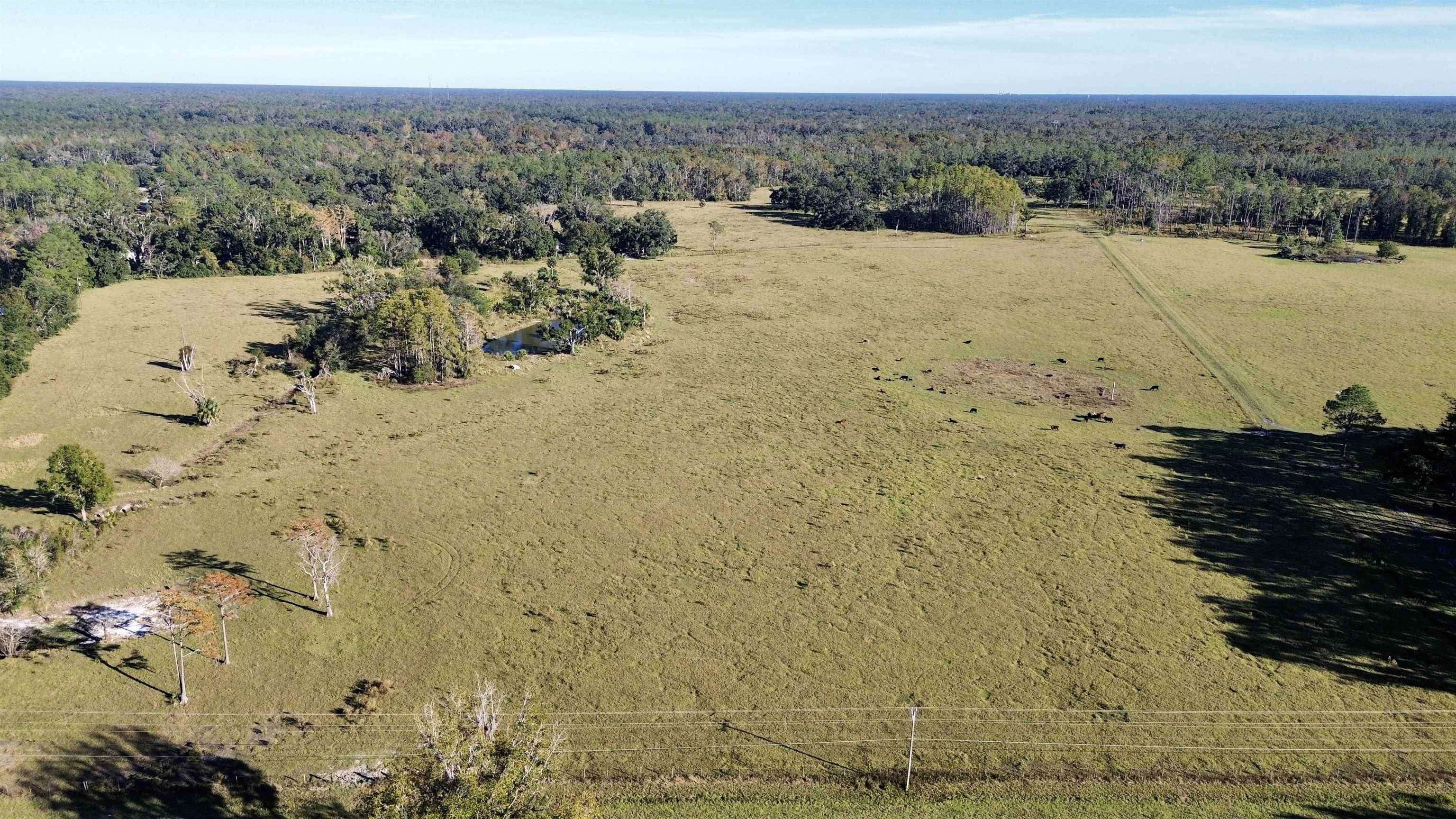 0 Woods Creek Road Perry, FL 32347 - Photo 29 of 36