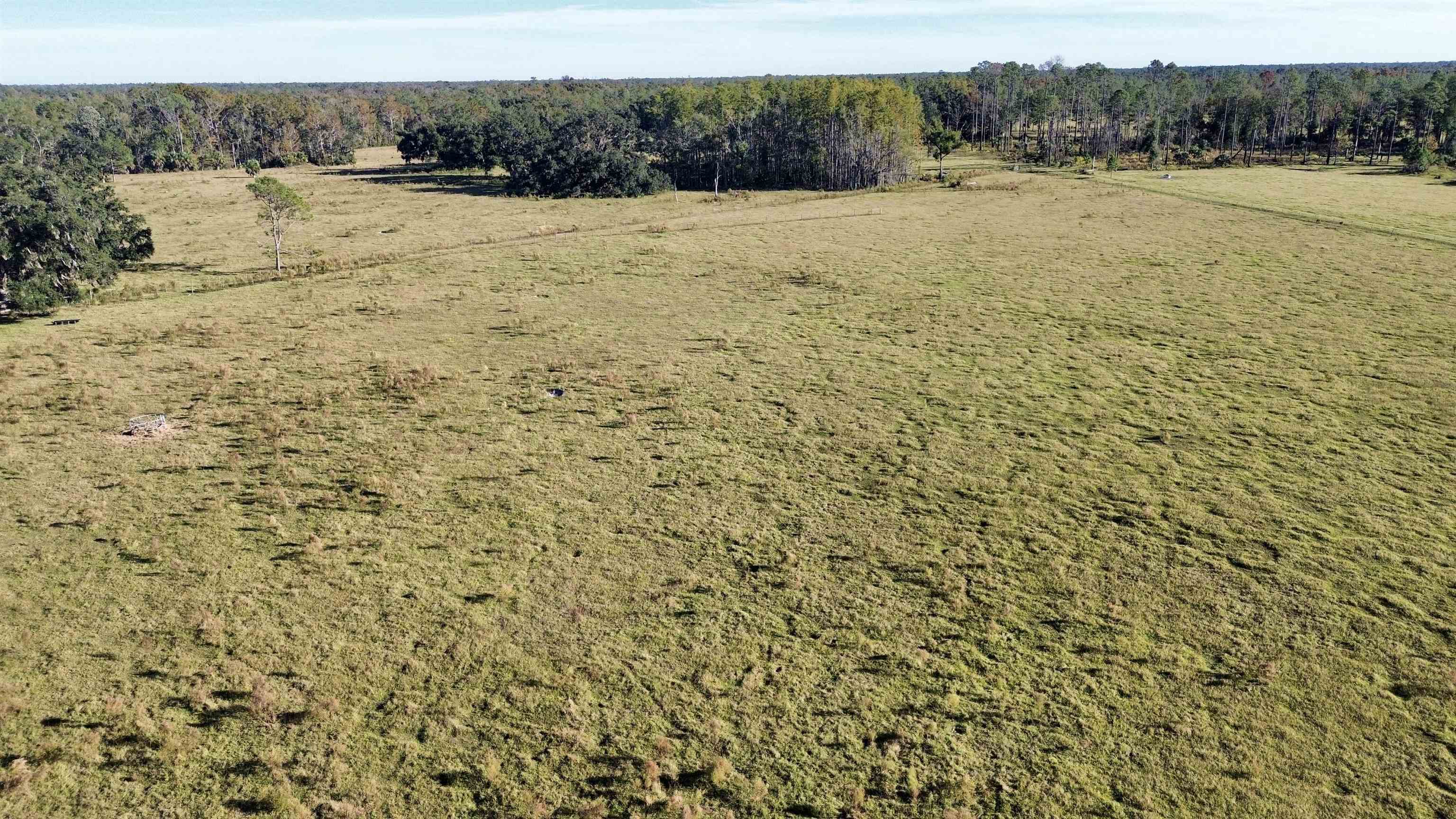 0 Woods Creek Road Perry, FL 32347 - Photo 3 of 36