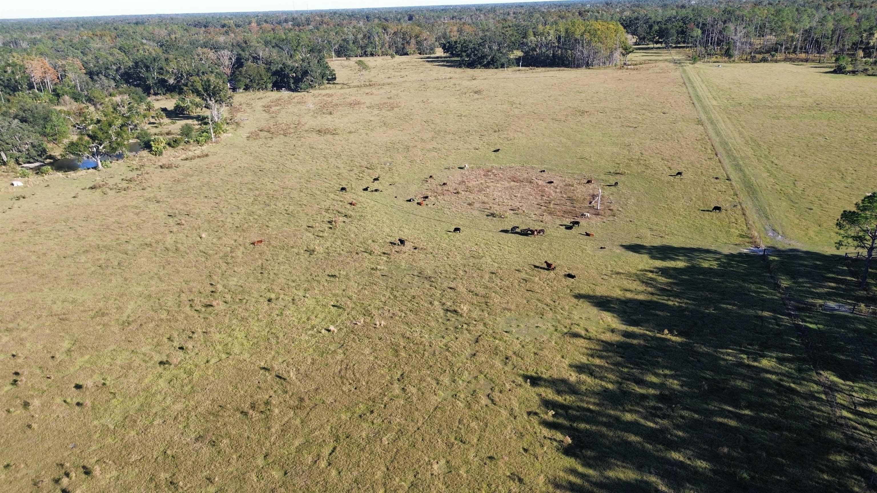 0 Woods Creek Road Perry, FL 32347 - Photo 33 of 36