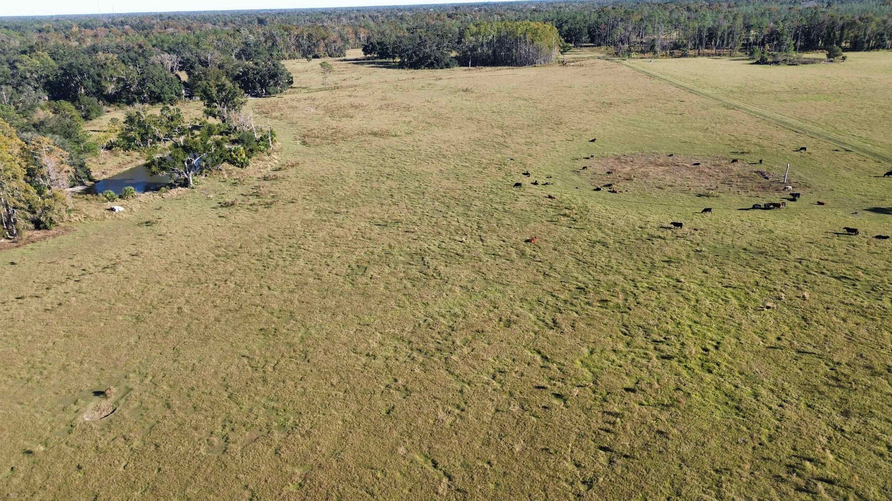 0 Woods Creek Road Perry, FL 32347 - Photo 34 of 36