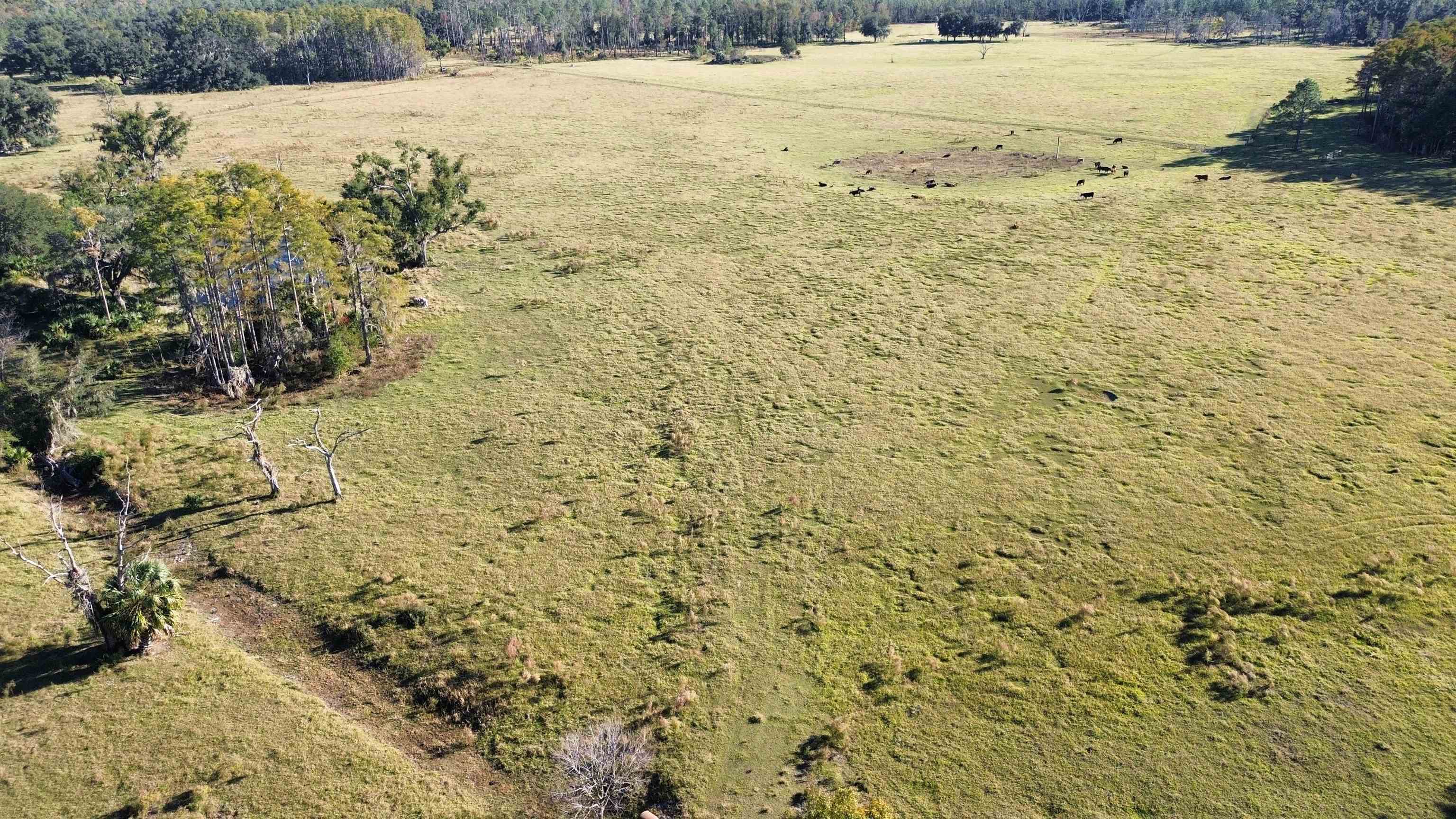 0 Woods Creek Road Perry, FL 32347 - Photo 35 of 36