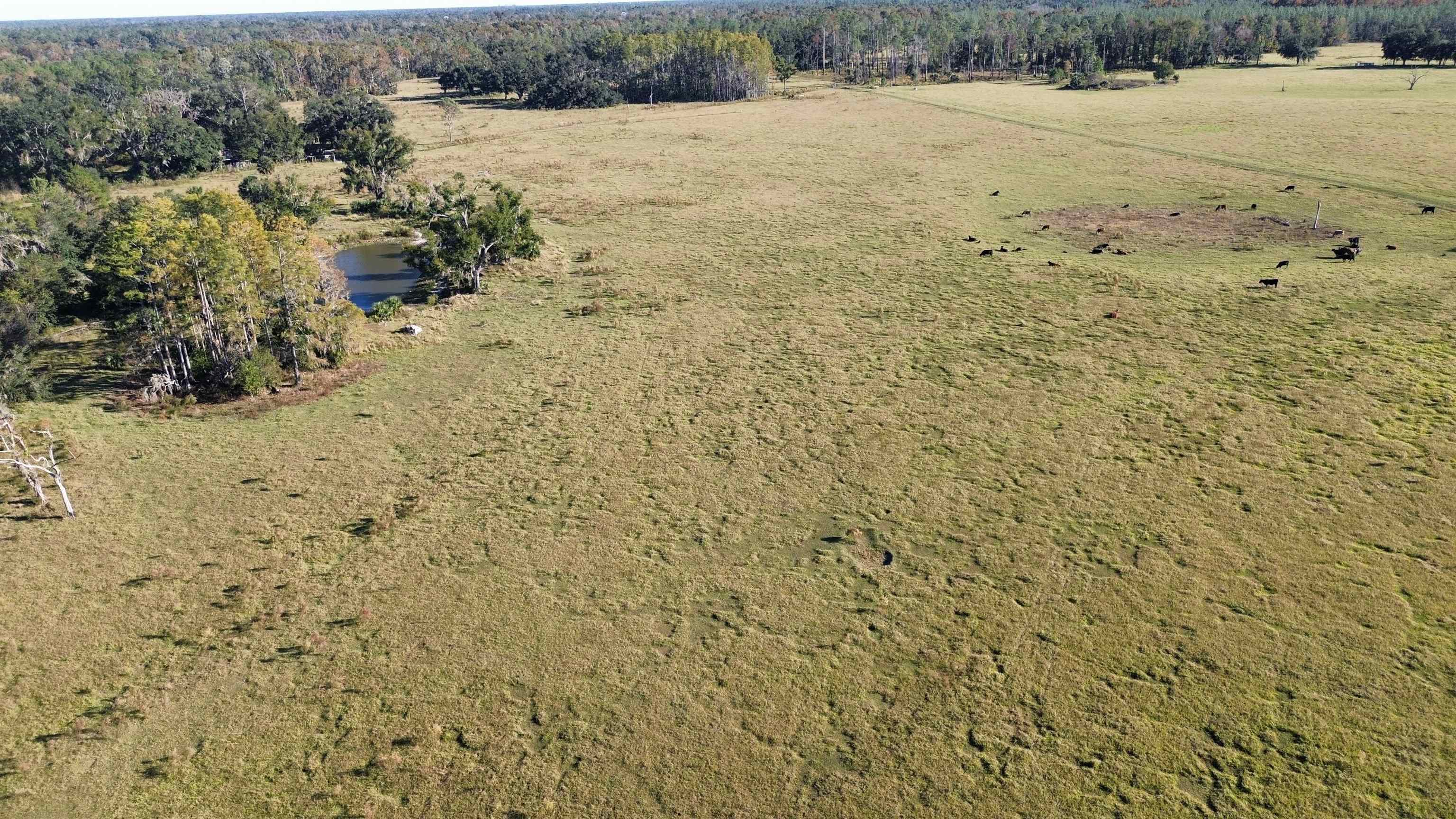 0 Woods Creek Road Perry, FL 32347 - Photo 36 of 36