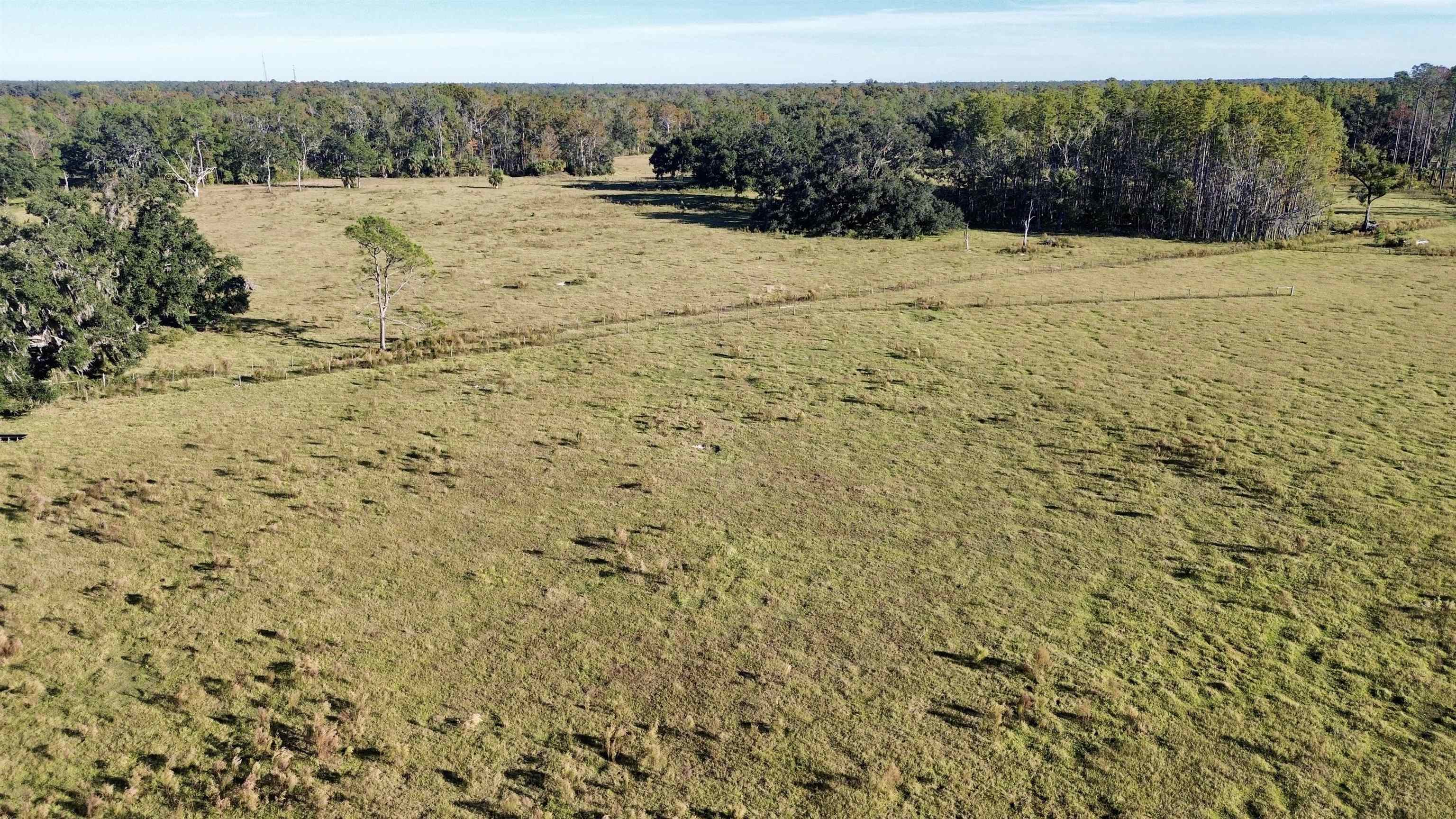 0 Woods Creek Road Perry, FL 32347 - Photo 4 of 36