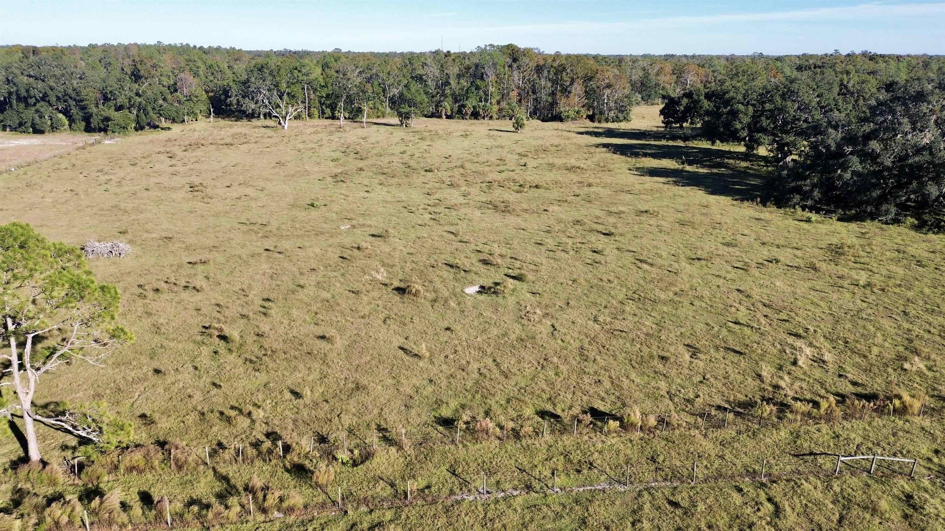 0 Woods Creek Road Perry, FL 32347 - Photo 5 of 36