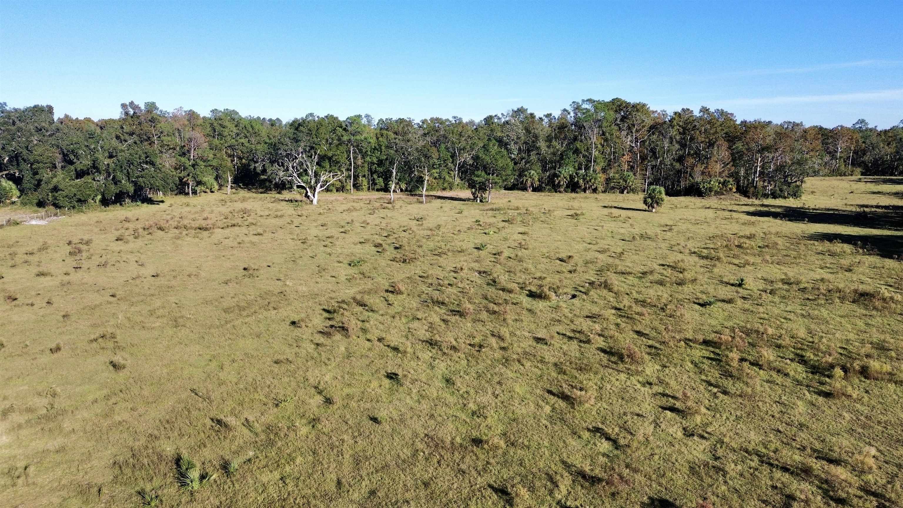 0 Woods Creek Road Perry, FL 32347 - Photo 6 of 36