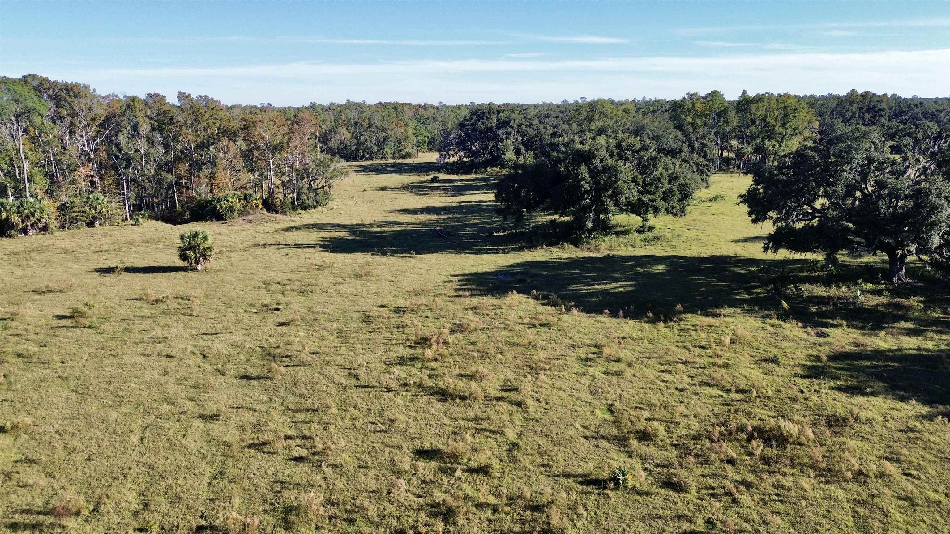 0 Woods Creek Road Perry, FL 32347 - Photo 7 of 36