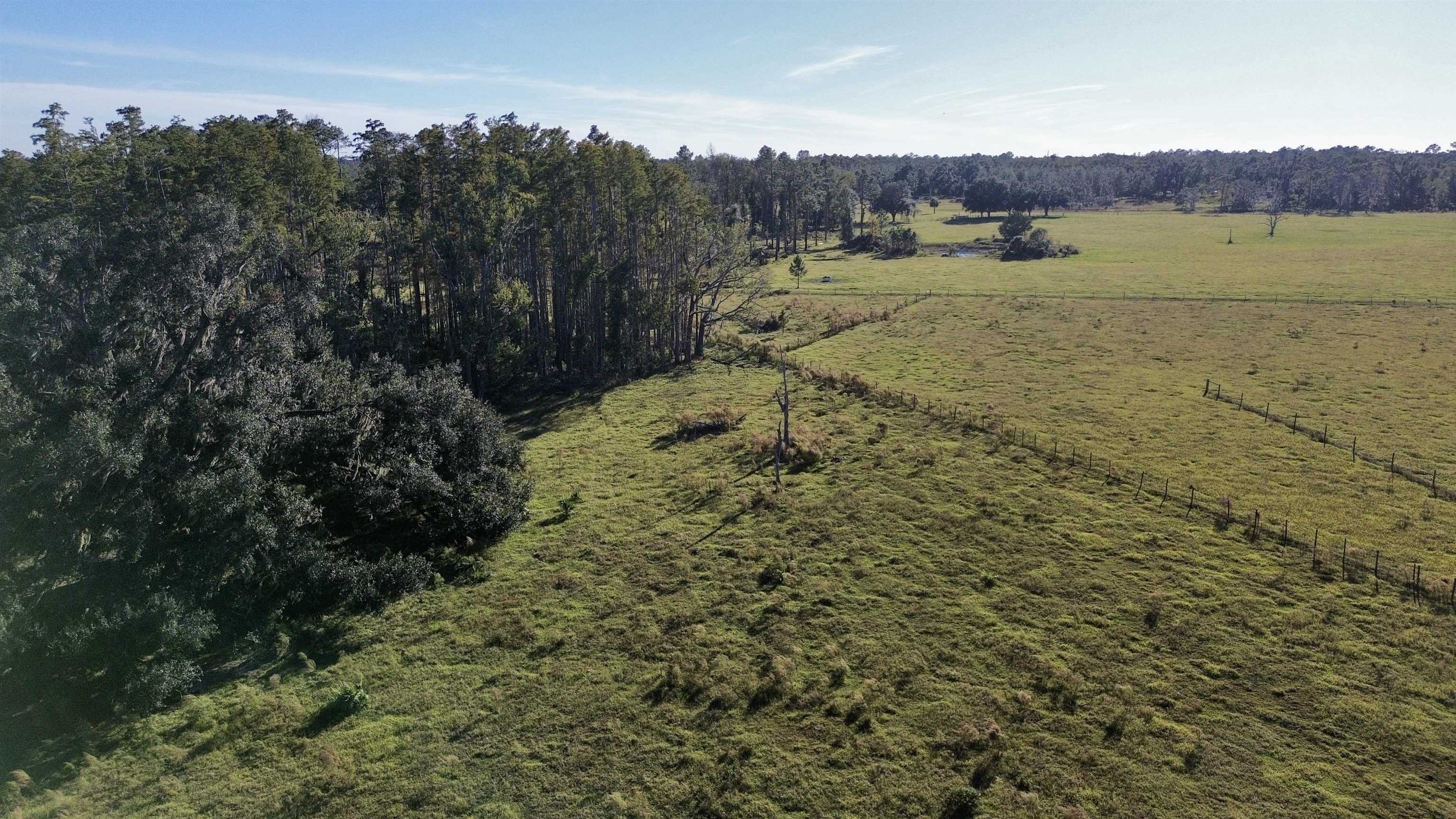 0 Woods Creek Road Perry, FL 32347 - Photo 8 of 36