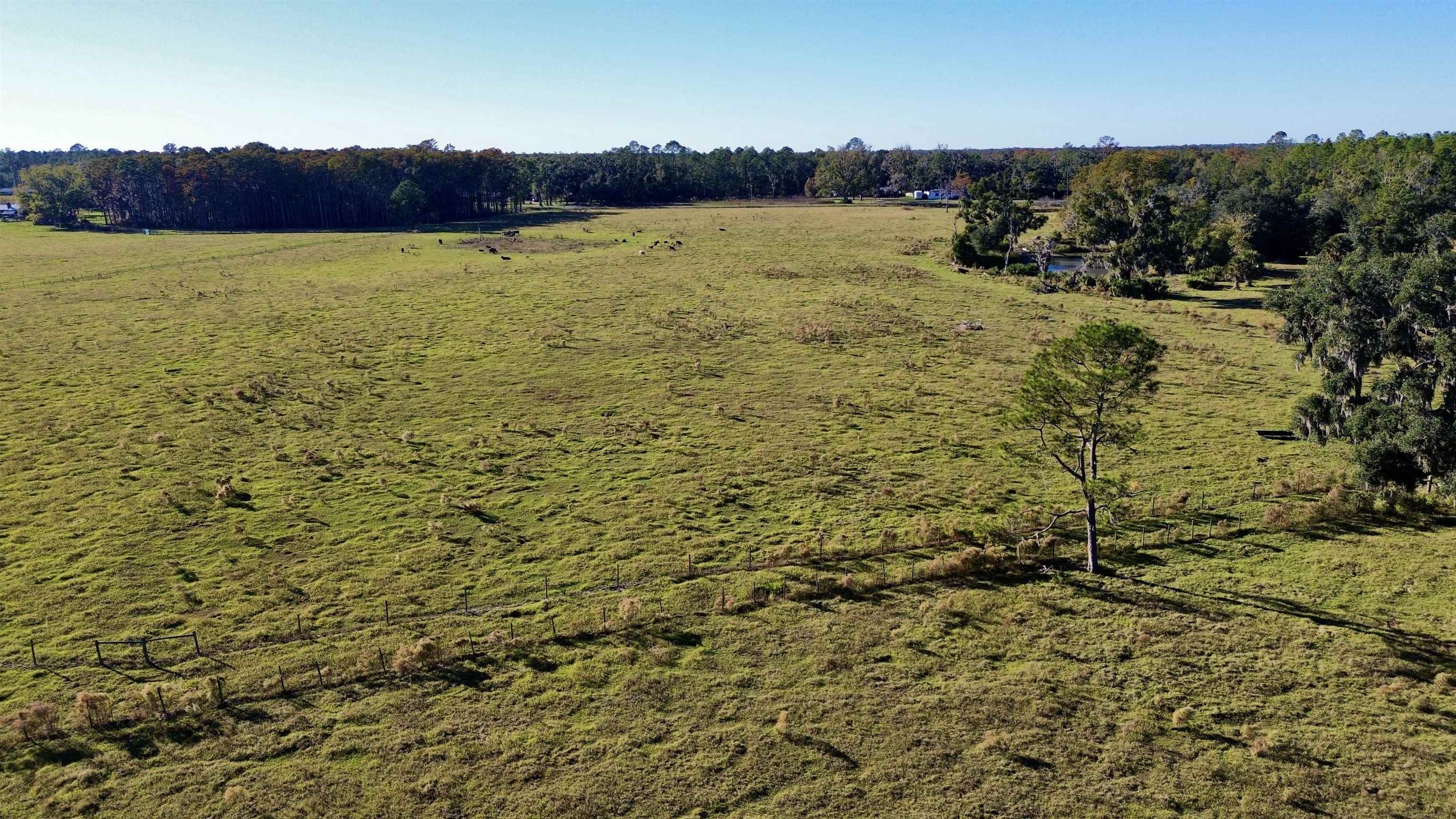 0 Woods Creek Road Perry, FL 32347 - Photo 9 of 36