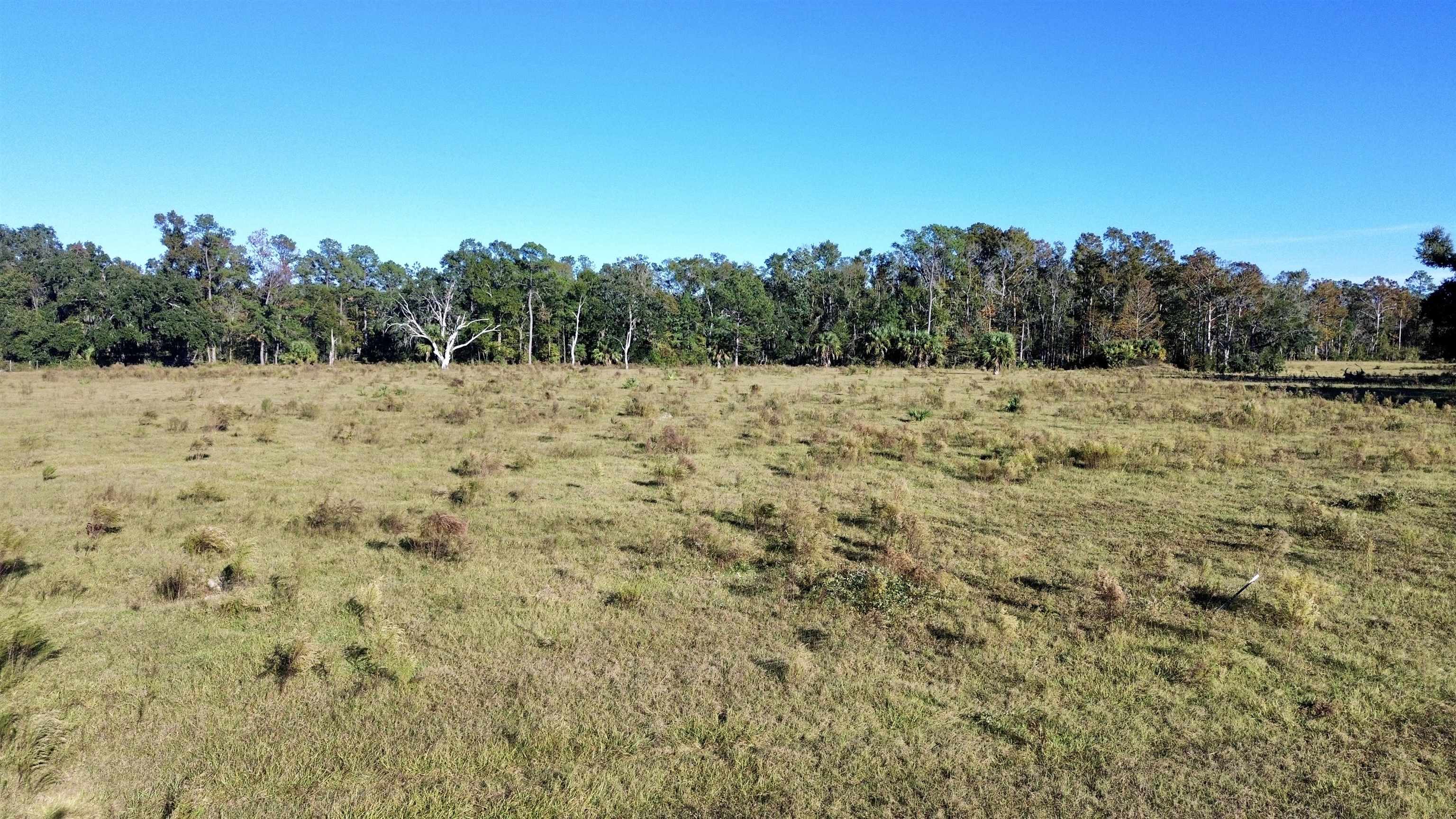 0 Woods Creek Road Perry, FL 32347 - Photo 10 of 36