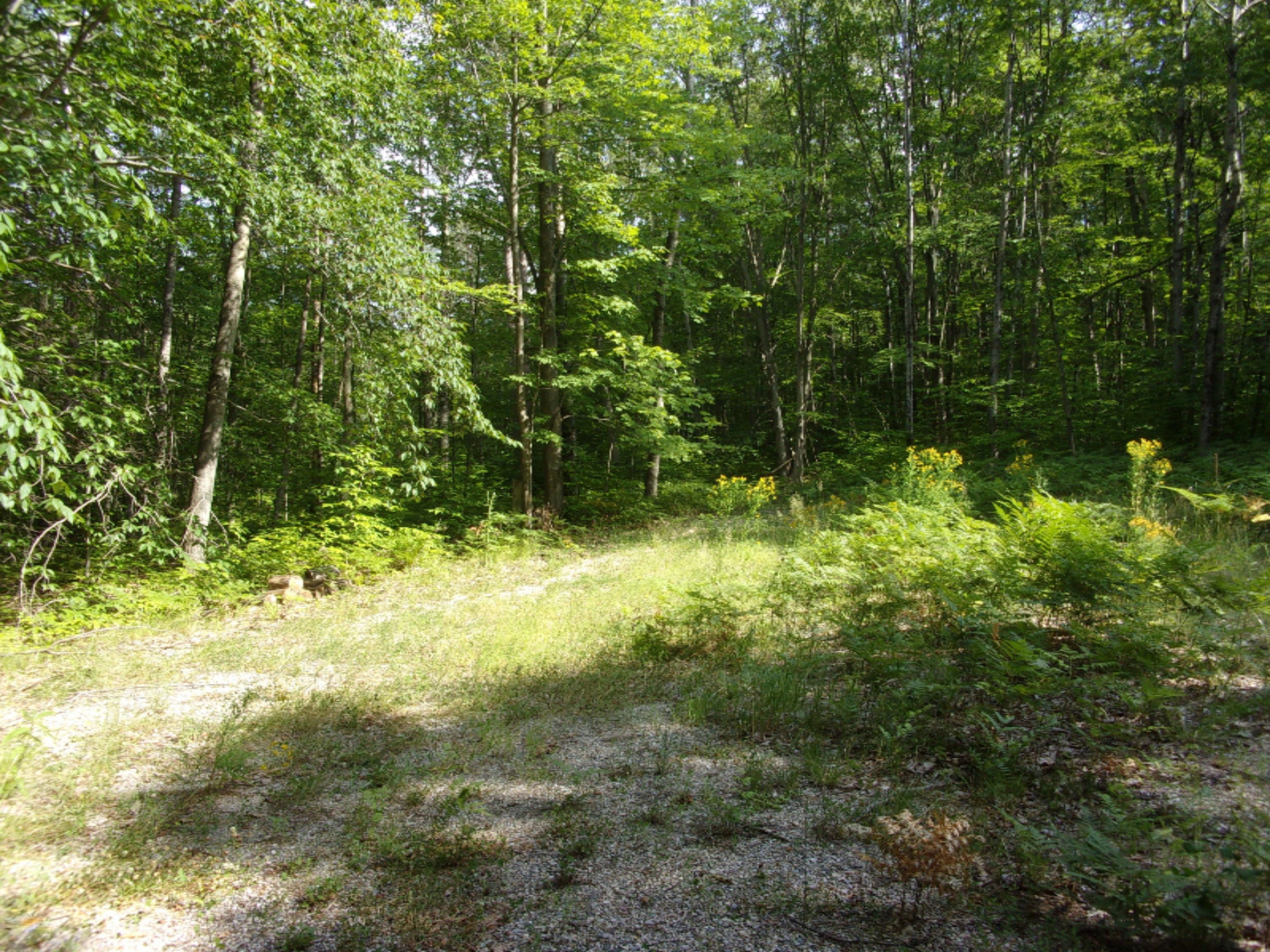 5274 South Seely Road Cadillac, MI 49601 - Photo 22 of 27 100_0504