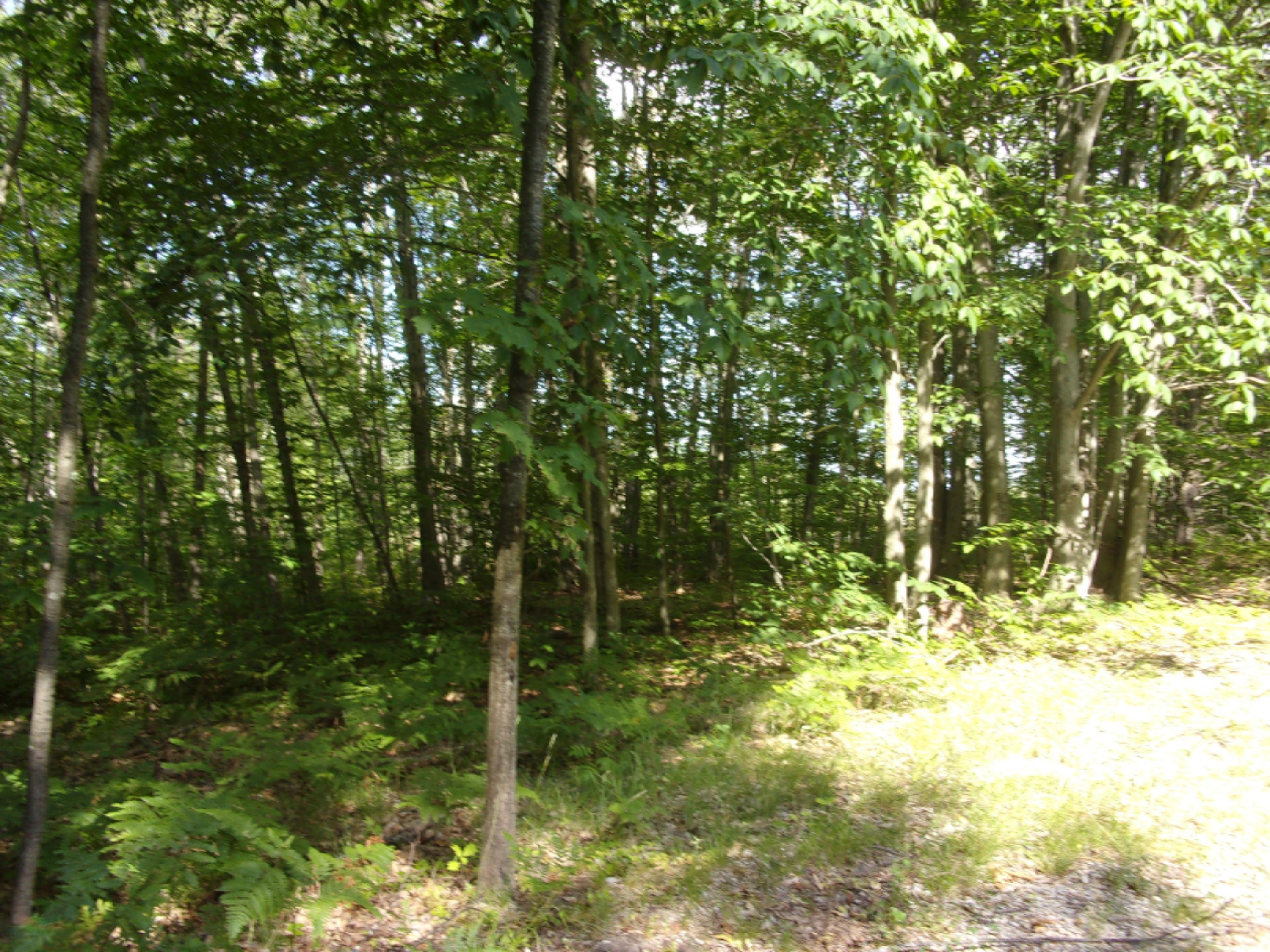 5274 South Seely Road Cadillac, MI 49601 - Photo 23 of 27 100_0505