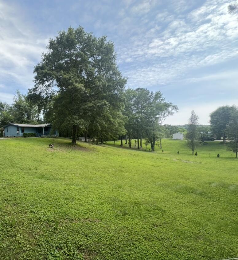 320 Oak View Lane Dayton, TN 37321 - Photo 3 of 38 IMG_3045