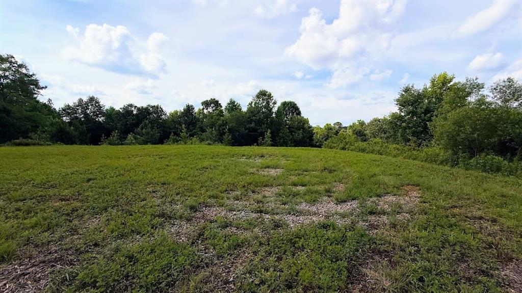 380 Nix Road Bremen, GA 30110 - Photo 8 of 14