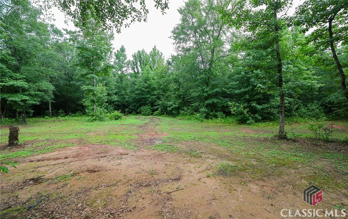 539 Sims Kidd Road Comer, GA 30629 - Photo 41 of 45