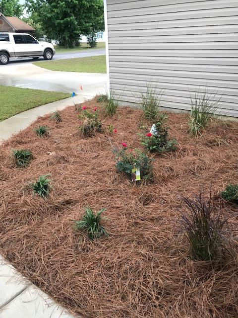 3328 Broadview Circle Crestview, FL 32539 - Photo 4 of 40 a view of a yard with plants and large trees