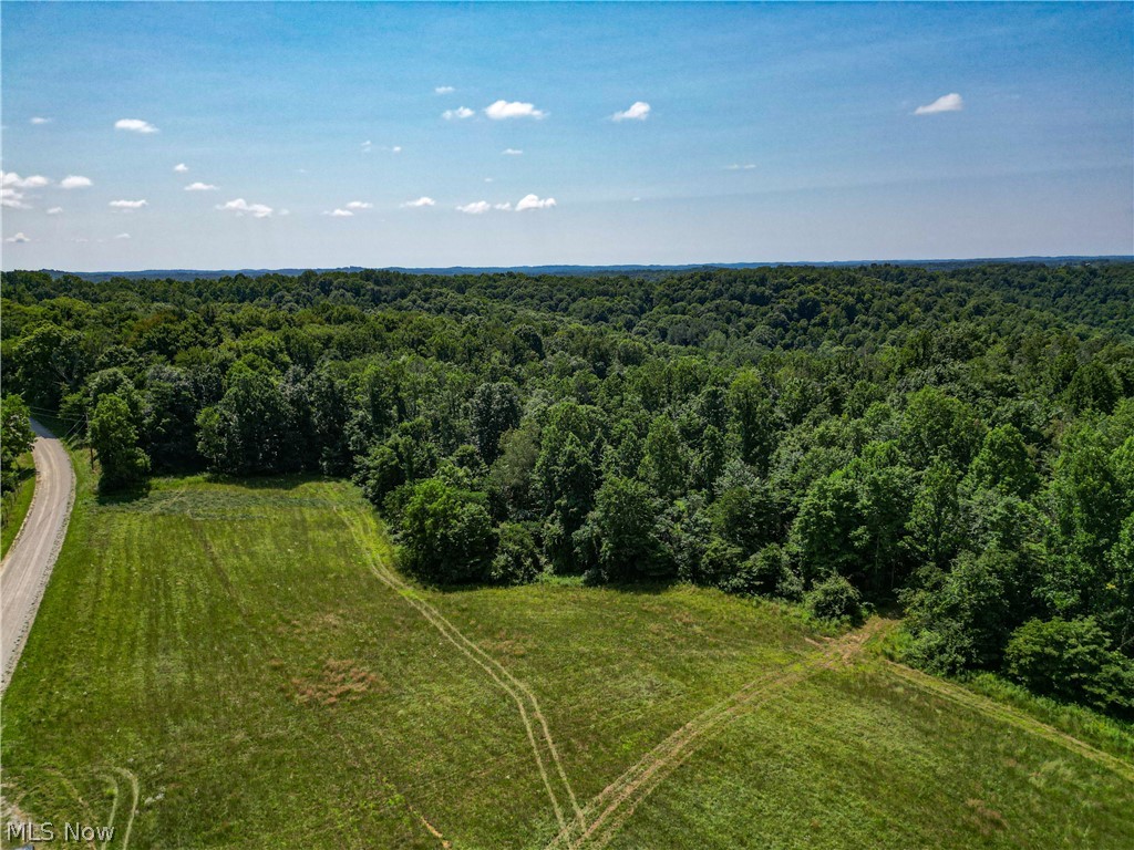27339 Tabor Ridge Road Caldwell, OH 43724 - Photo 11 of 50