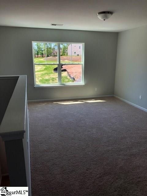 16 Talisker Way Greenville, SC 29607 - Photo 8 of 9 Gallery Image 8